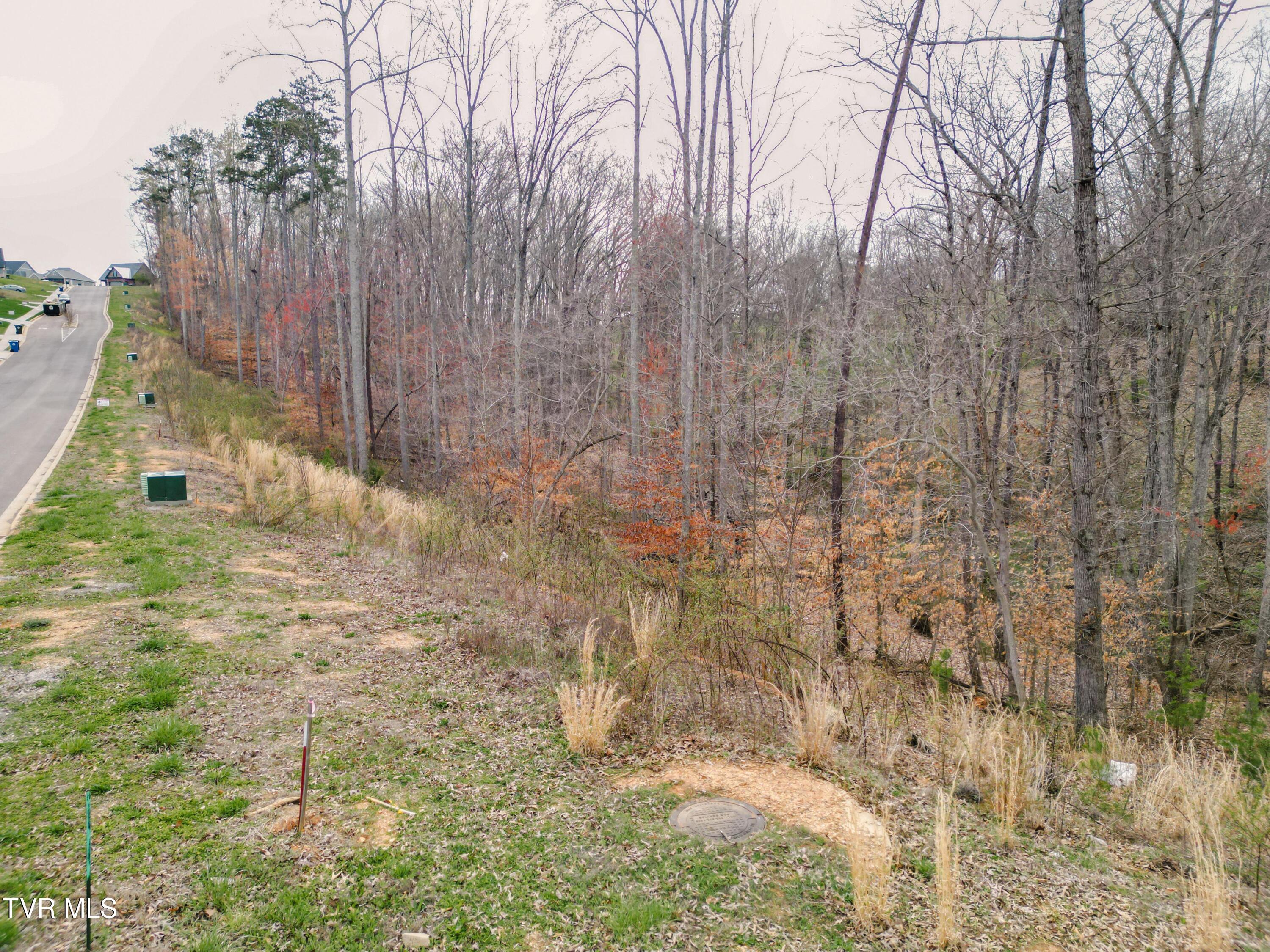 Lot 30 Bridgewater Boulevard, Morristown, Tennessee image 20