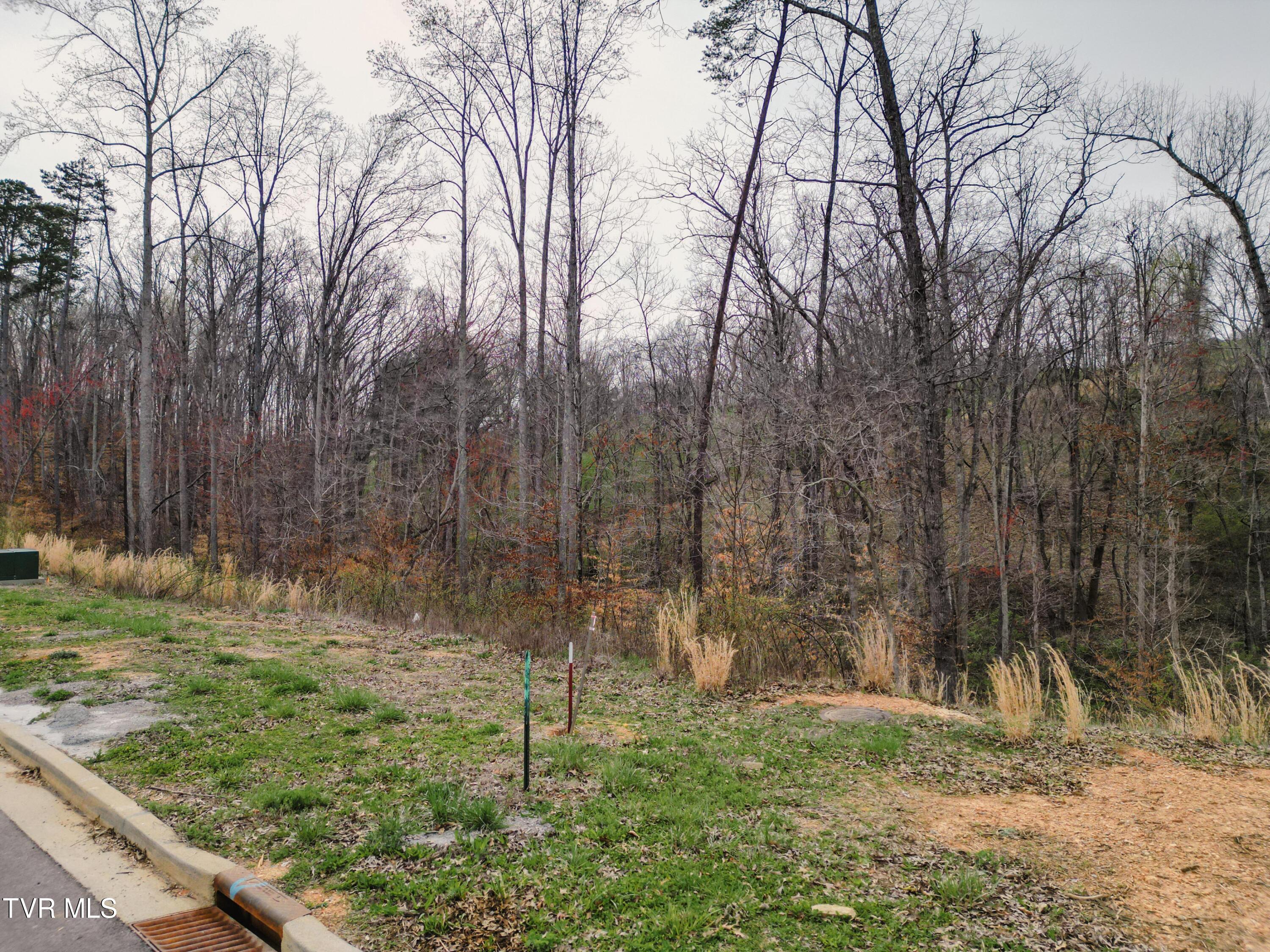 Lot 30 Bridgewater Boulevard, Morristown, Tennessee image 19