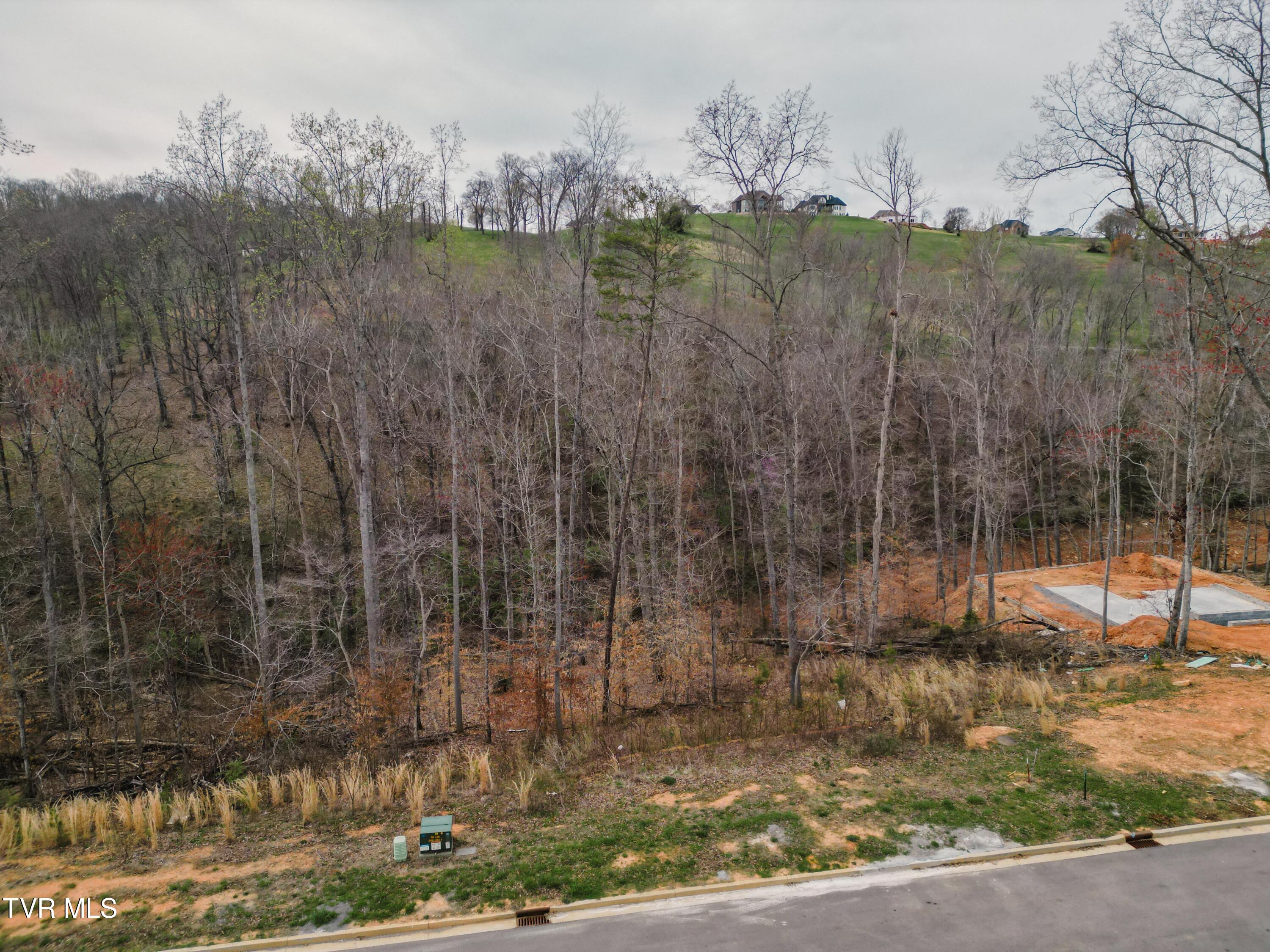 Lot 30 Bridgewater Boulevard, Morristown, Tennessee image 6