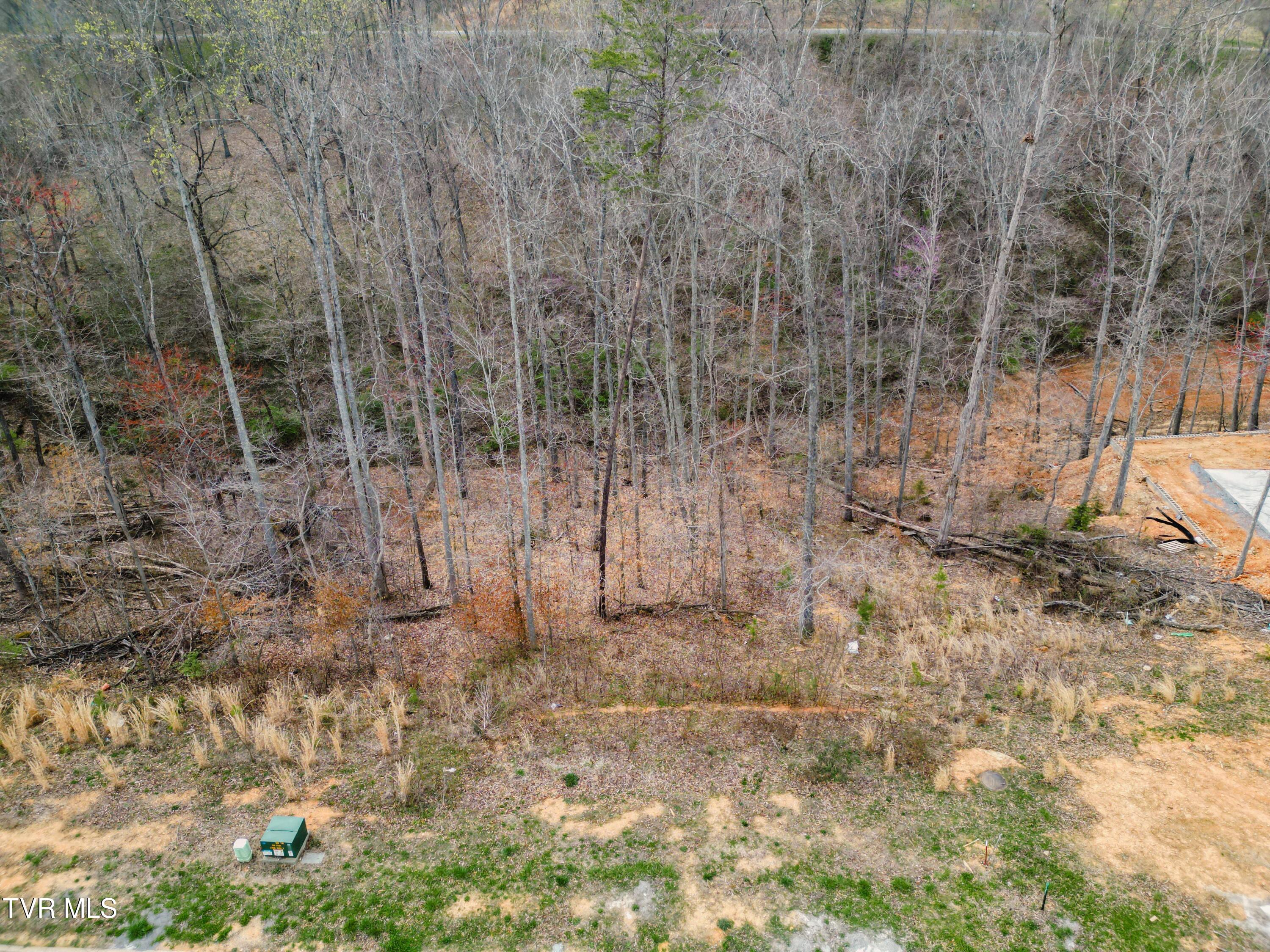 Lot 30 Bridgewater Boulevard, Morristown, Tennessee image 18