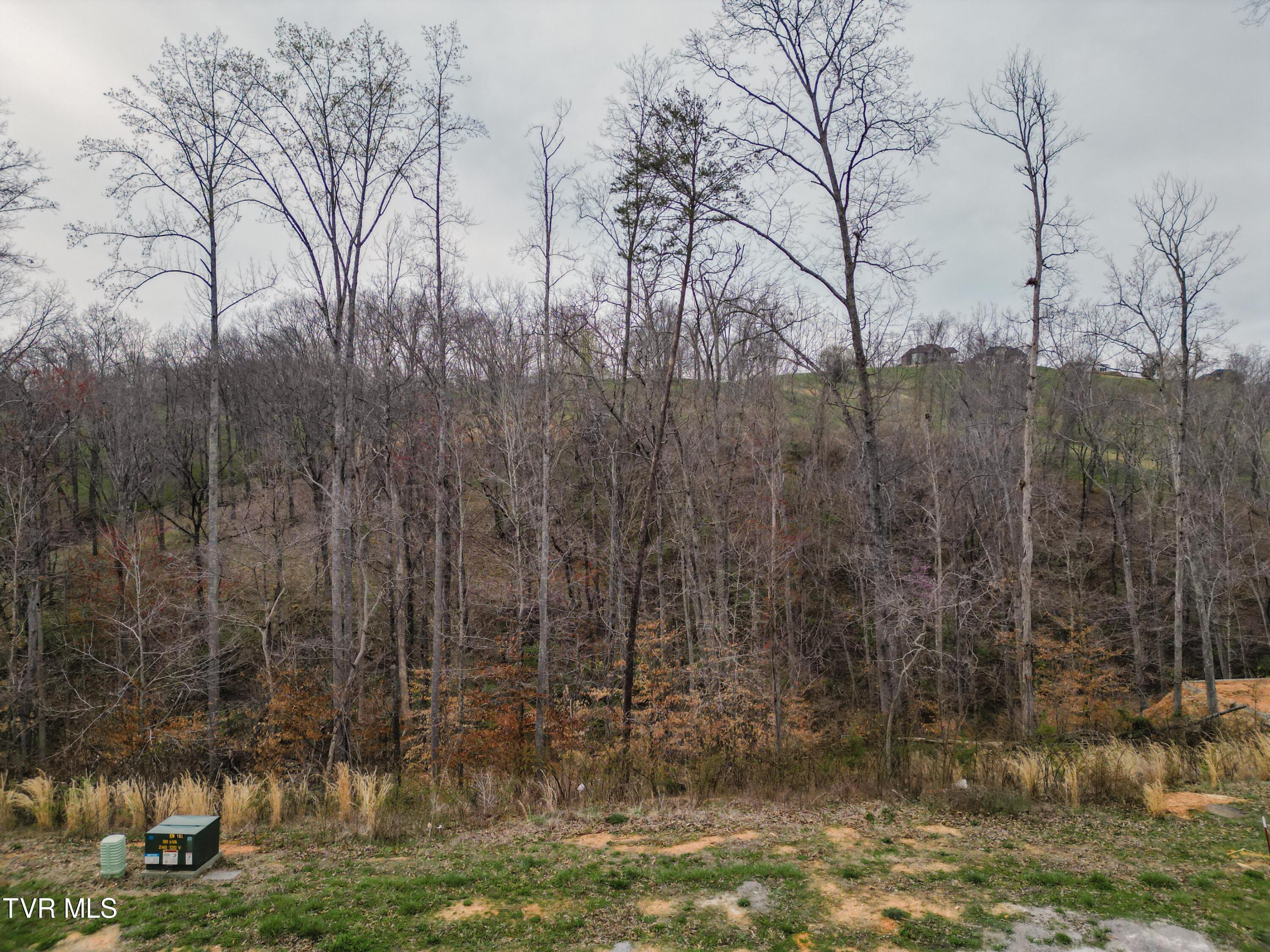 Lot 30 Bridgewater Boulevard, Morristown, Tennessee image 3