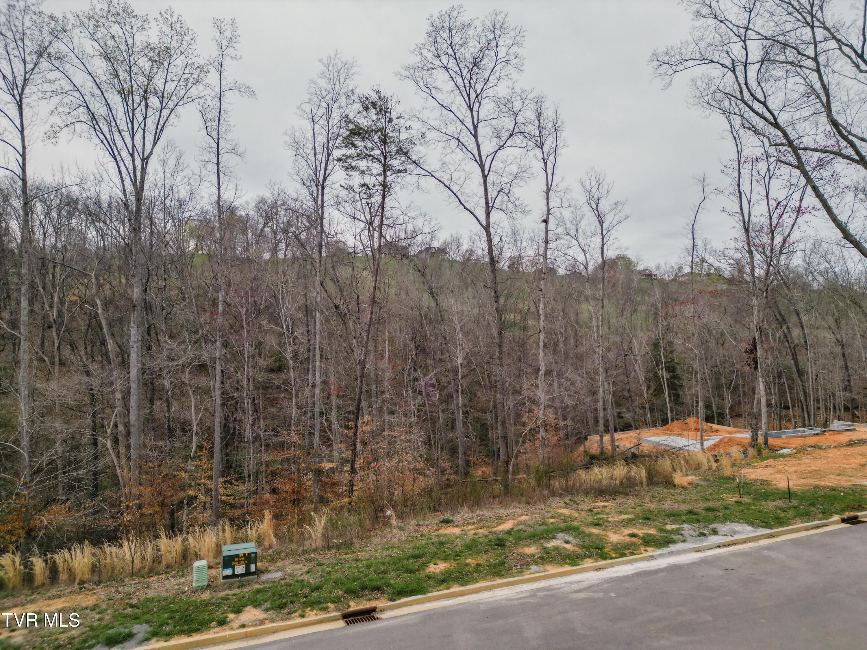 Lot 30 Bridgewater Boulevard, Morristown, Tennessee image 4