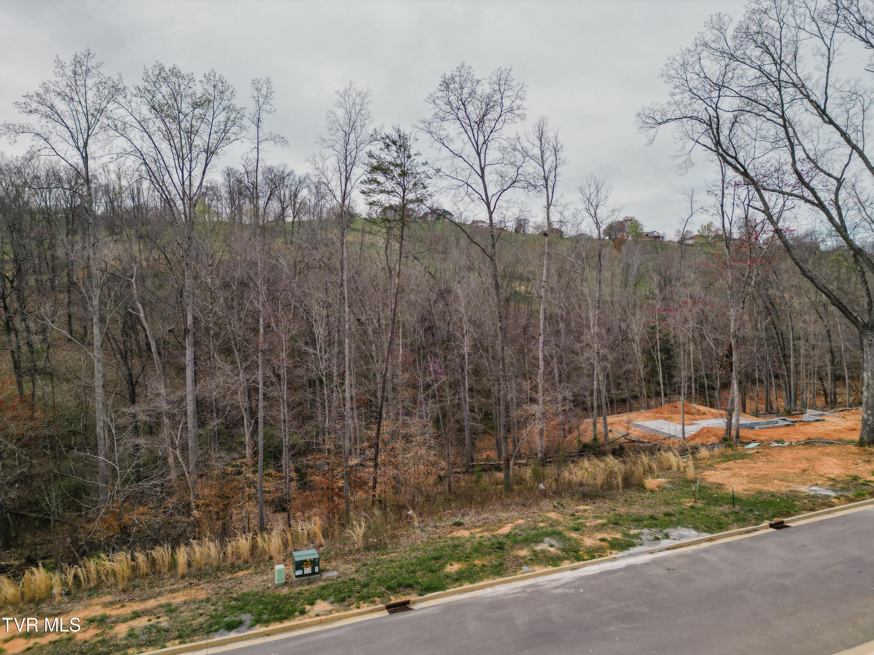 Lot 30 Bridgewater Boulevard, Morristown, Tennessee image 5