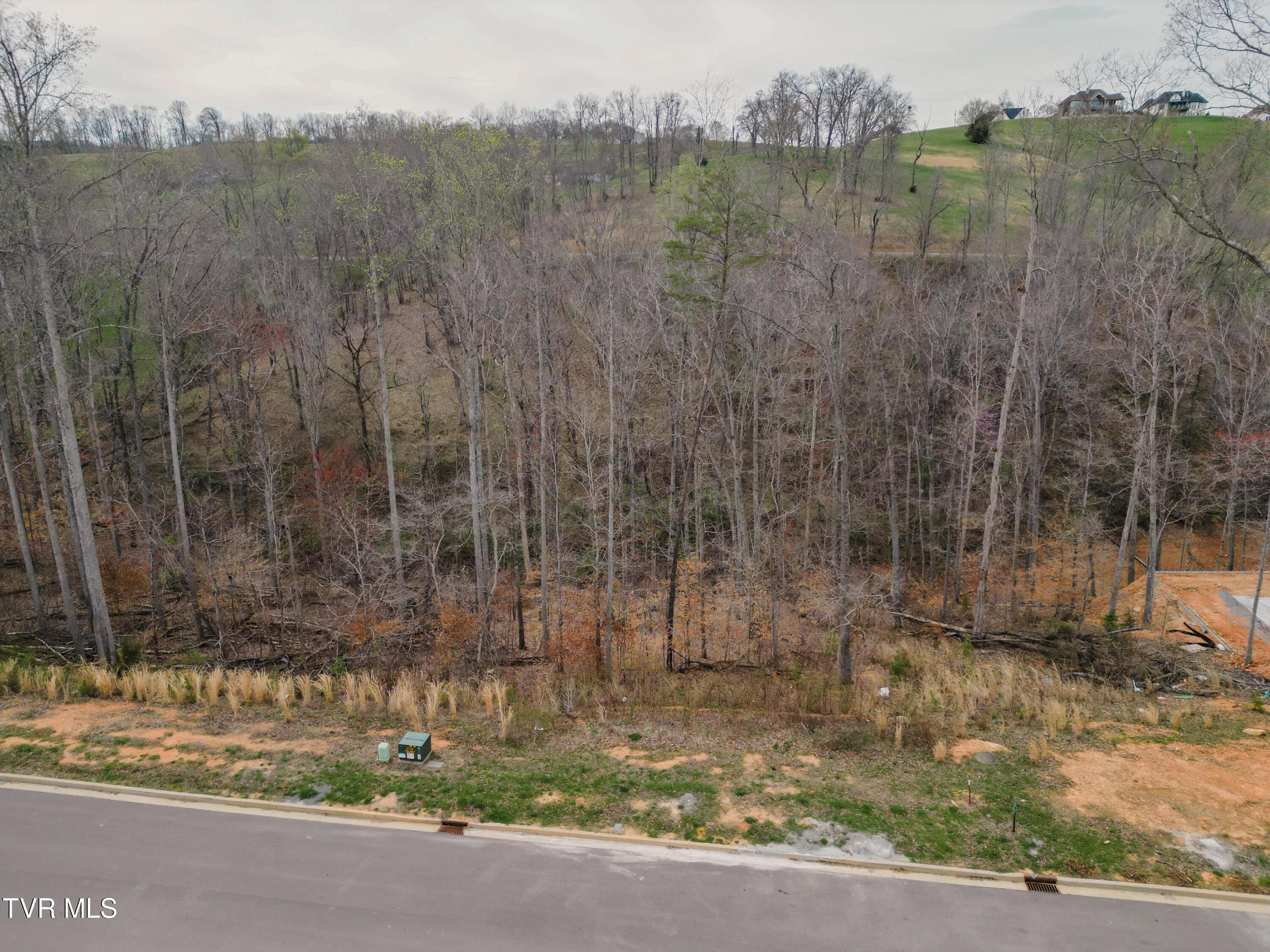 Lot 30 Bridgewater Boulevard, Morristown, Tennessee image 17