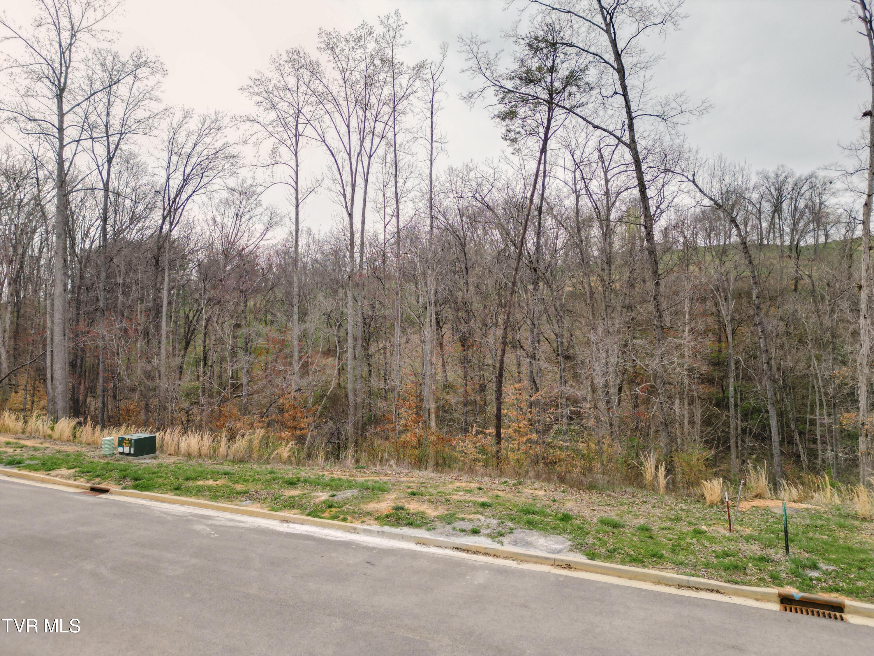 Lot 30 Bridgewater Boulevard, Morristown, Tennessee image 1