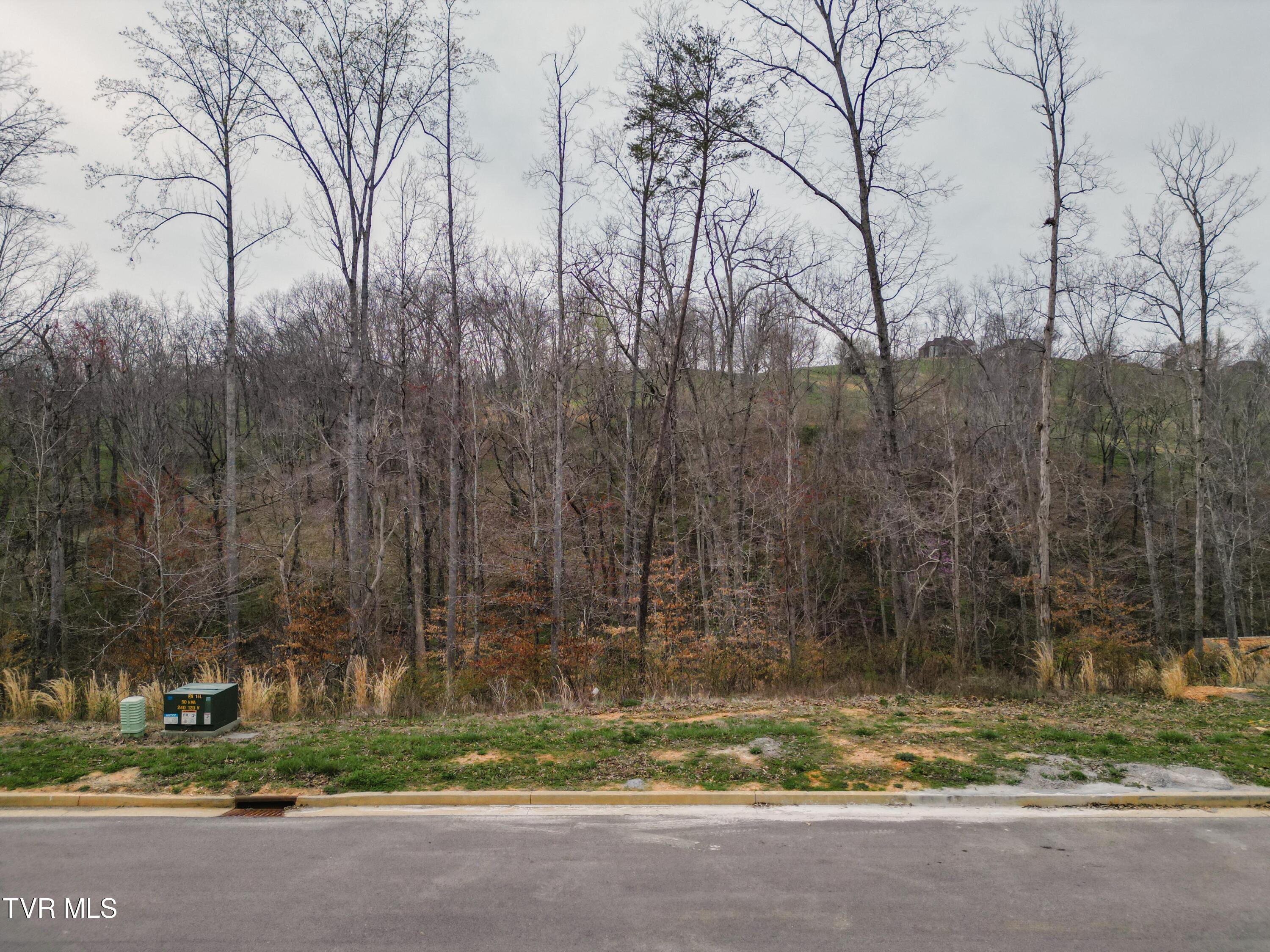 Lot 30 Bridgewater Boulevard, Morristown, Tennessee image 2