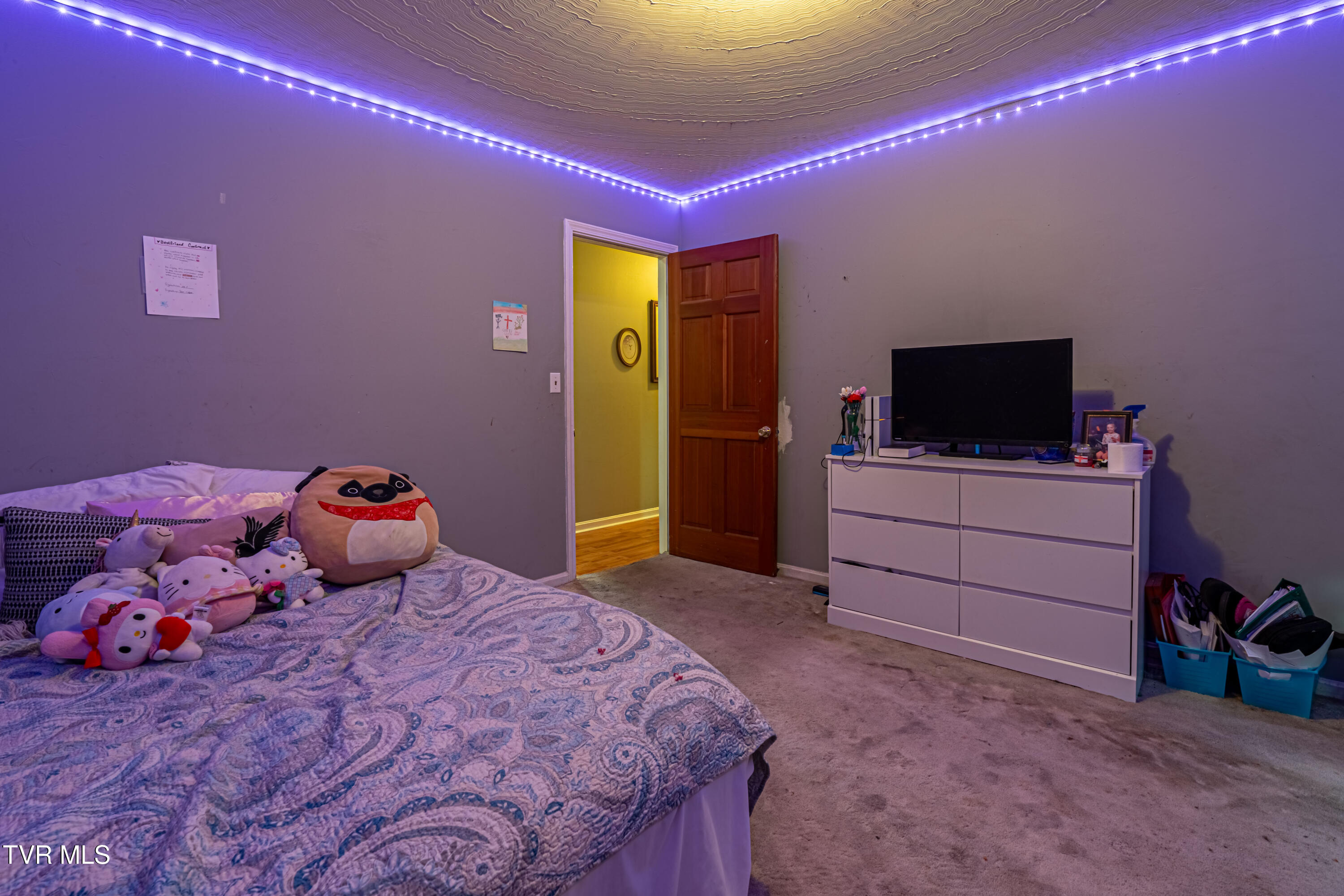 15095 Lowry Hills Road, Bristol, Virginia image 40