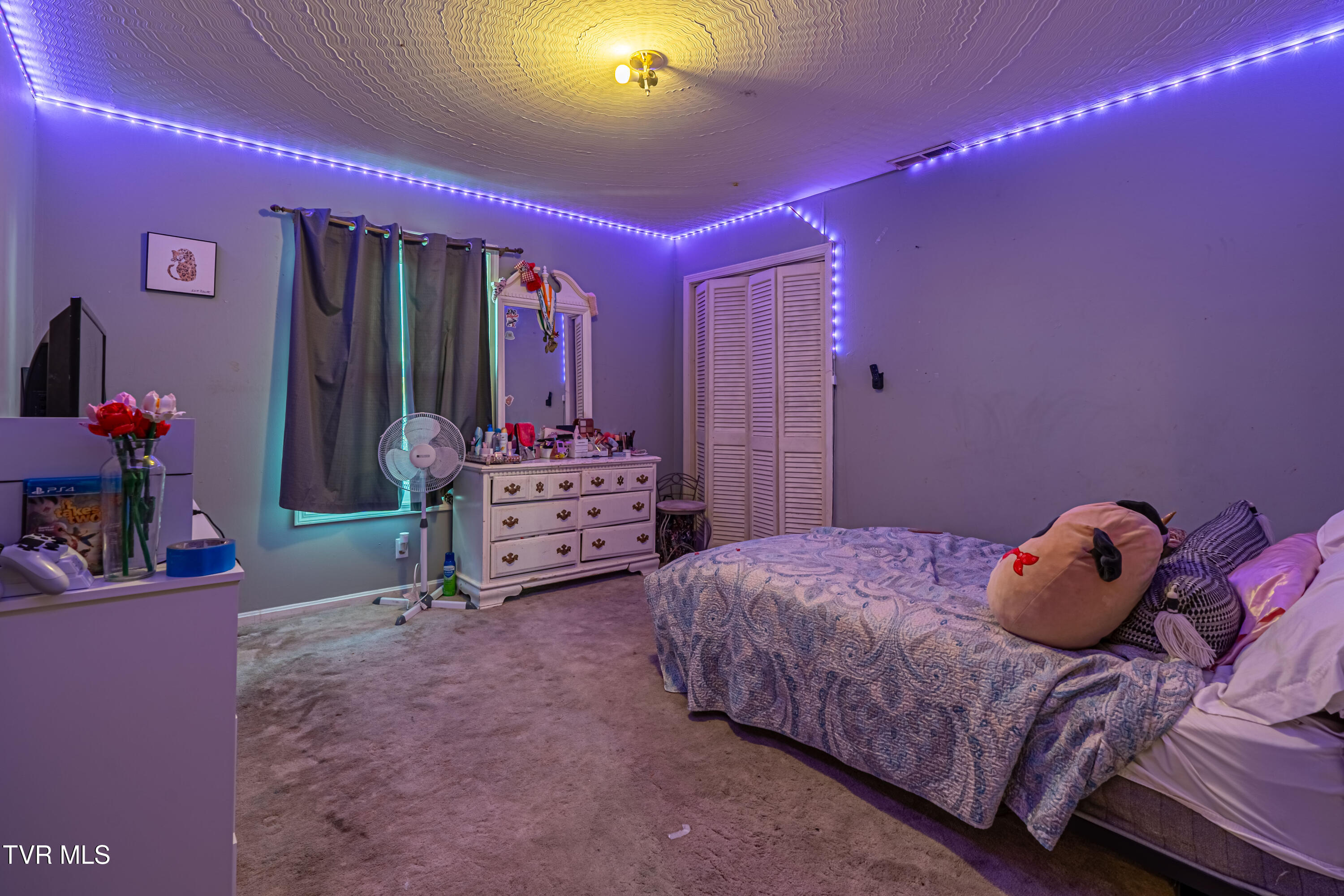 15095 Lowry Hills Road, Bristol, Virginia image 38
