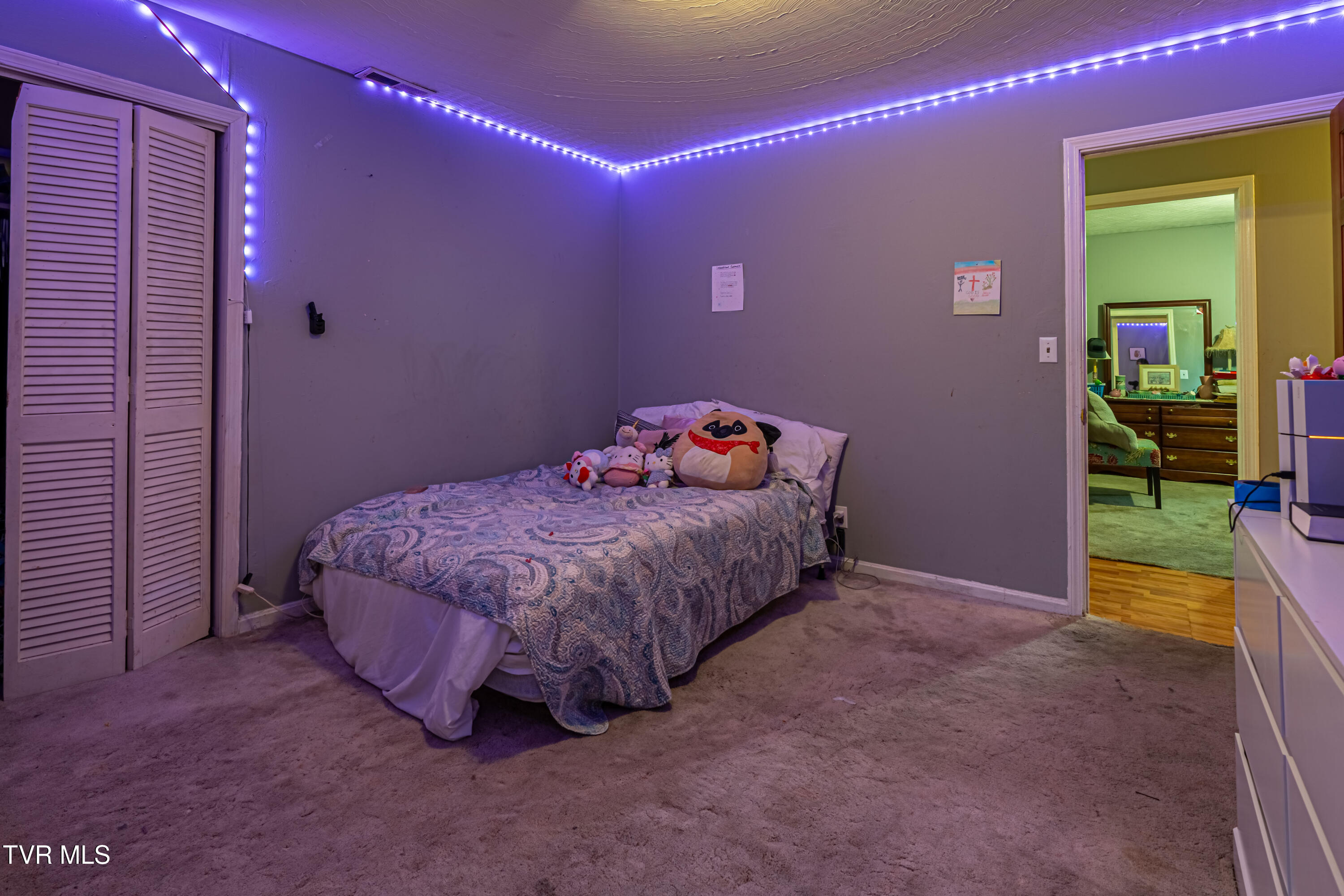 15095 Lowry Hills Road, Bristol, Virginia image 39