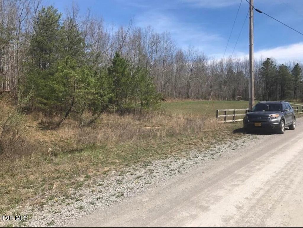 Photo of 897 Parkstown Road, Wilder, TN 38589 (MLS # 9991037)