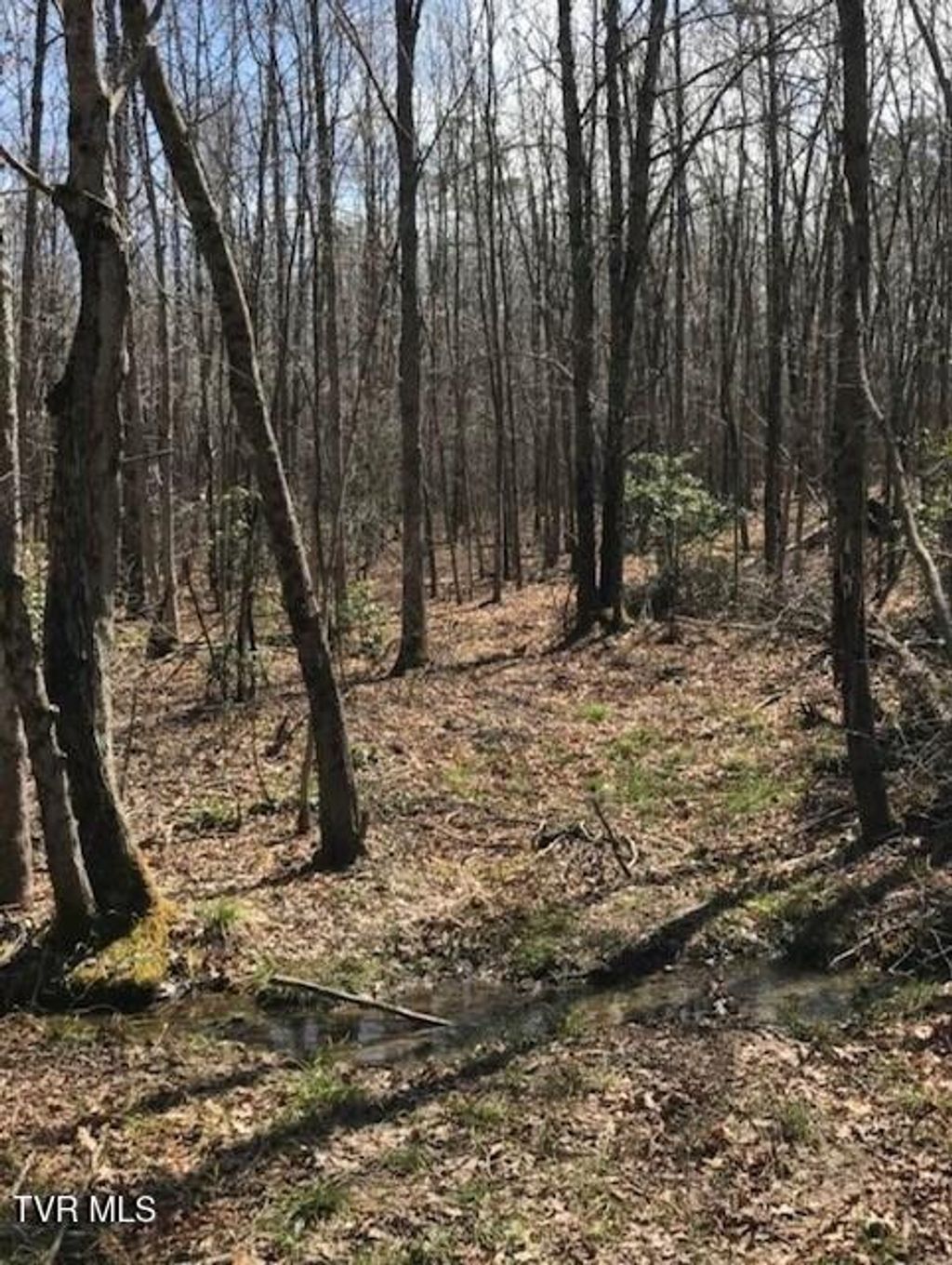 Photo of 897 Parkstown Road, Wilder, TN 38589 (MLS # 9991037)