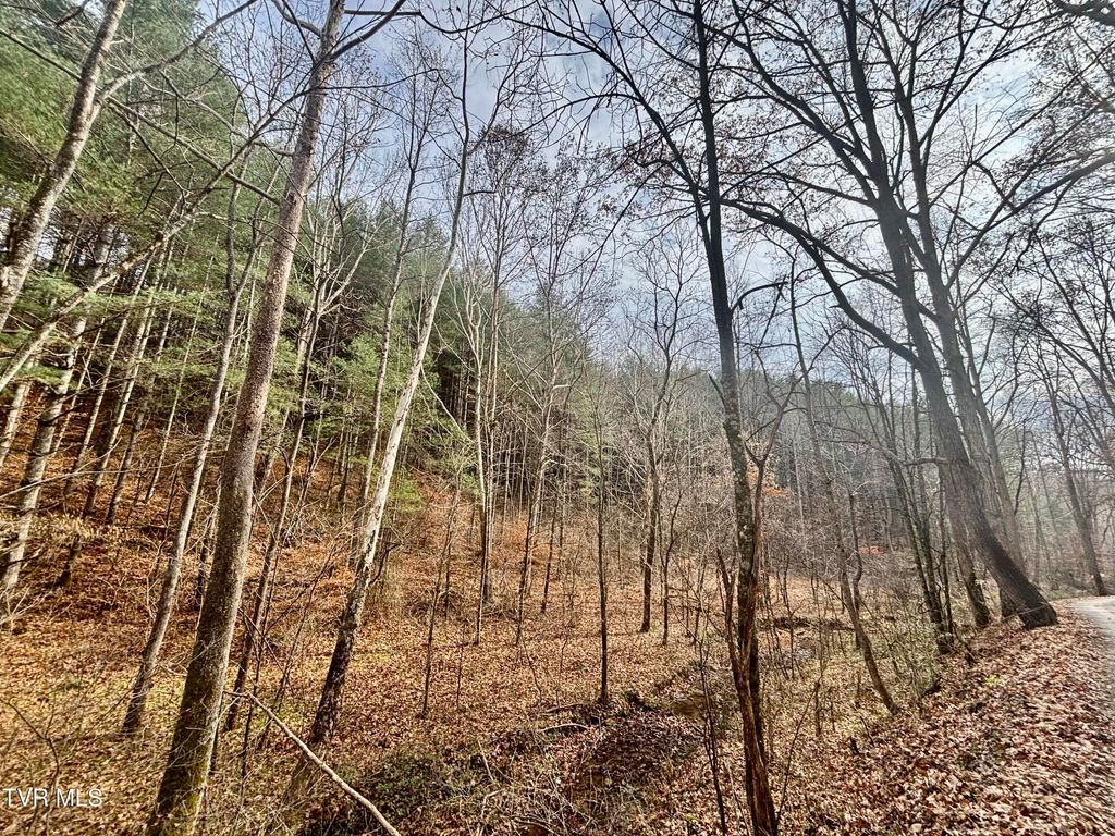 Photo of Tbd Yellow Branch Rd, Rose Hill, VA 24281 (MLS # 9988470)