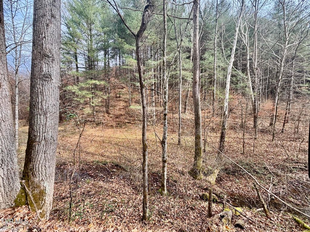 Photo of Tbd Yellow Branch Rd, Rose Hill, VA 24281 (MLS # 9988470)