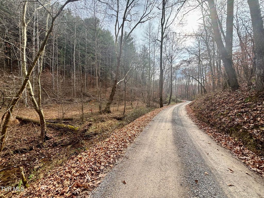 Photo of Tbd Yellow Branch Rd, Rose Hill, VA 24281 (MLS # 9988470)
