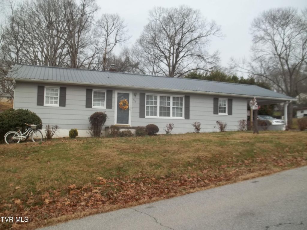 Photo of 413 Mimosa Street, Mount Carmel, TN 37645 (MLS # 9989052)