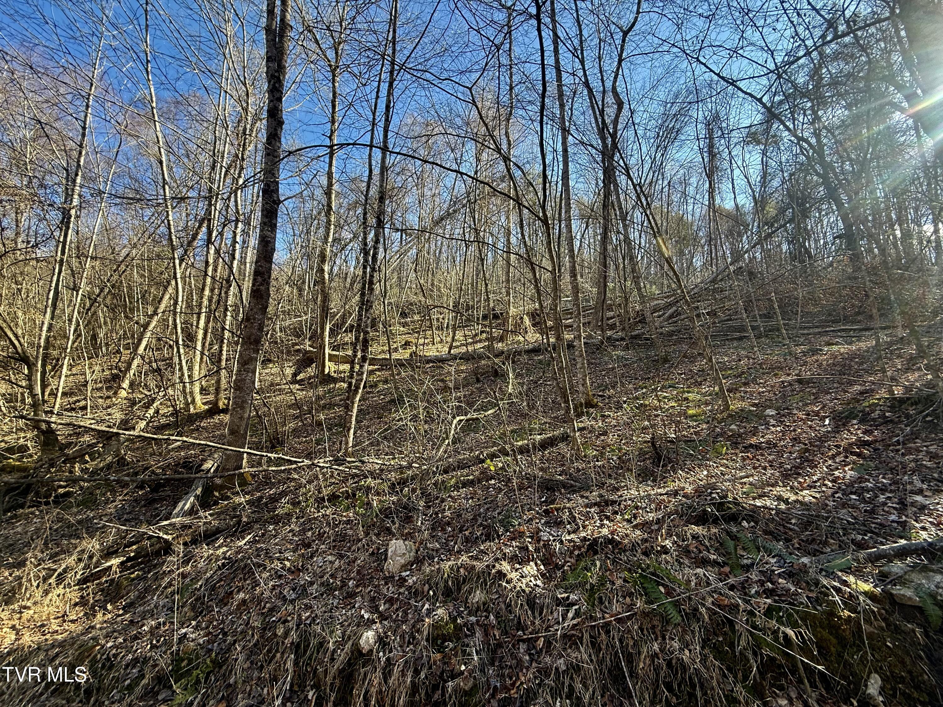 539/Ac Tbd Off Hwy 421, Mountain City, Tennessee image 12