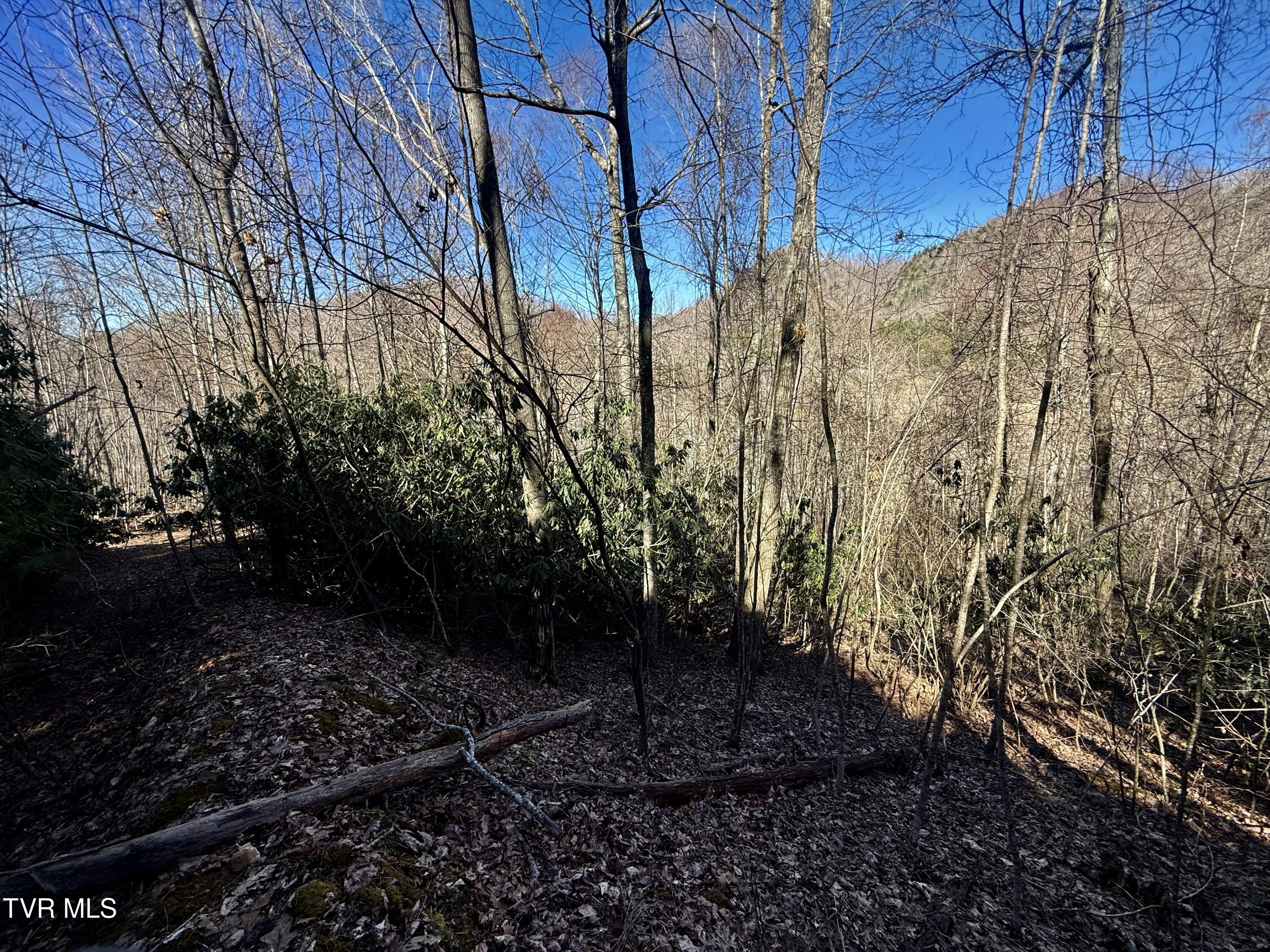 539/Ac Tbd Off Hwy 421, Mountain City, Tennessee image 14