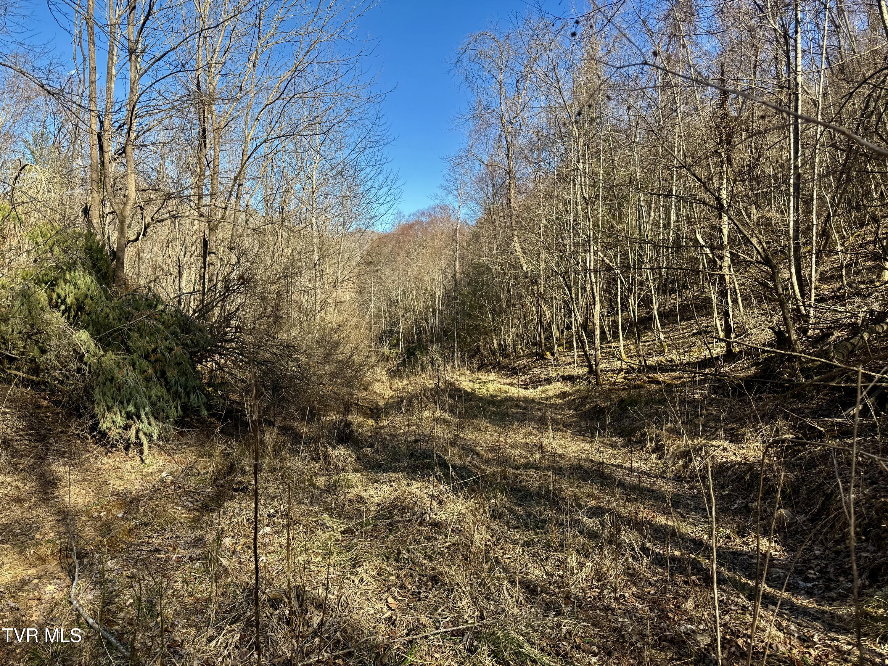 539/Ac Tbd Off Hwy 421, Mountain City, Tennessee image 2