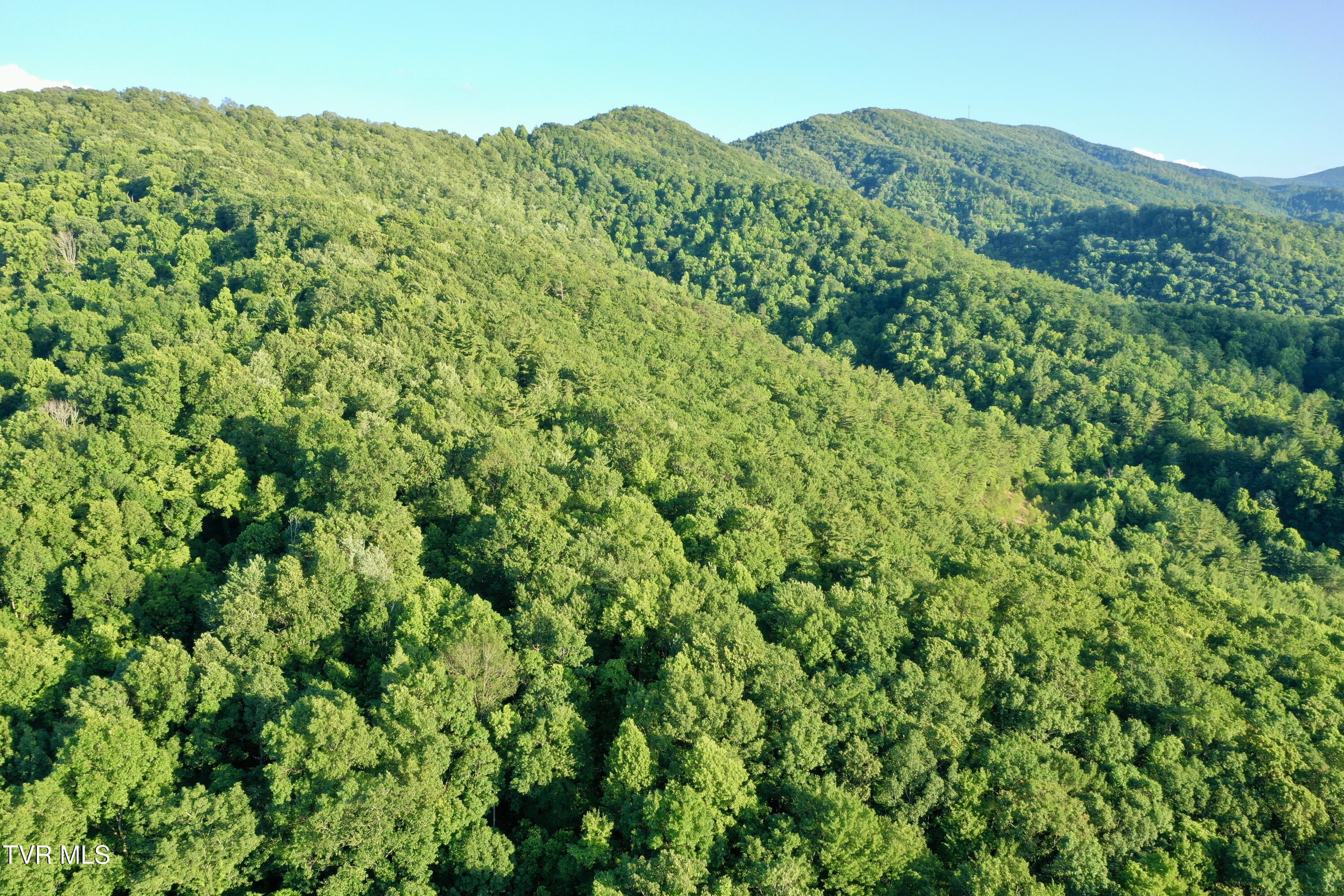 539/Ac Tbd Off Hwy 421, Mountain City, Tennessee image 28