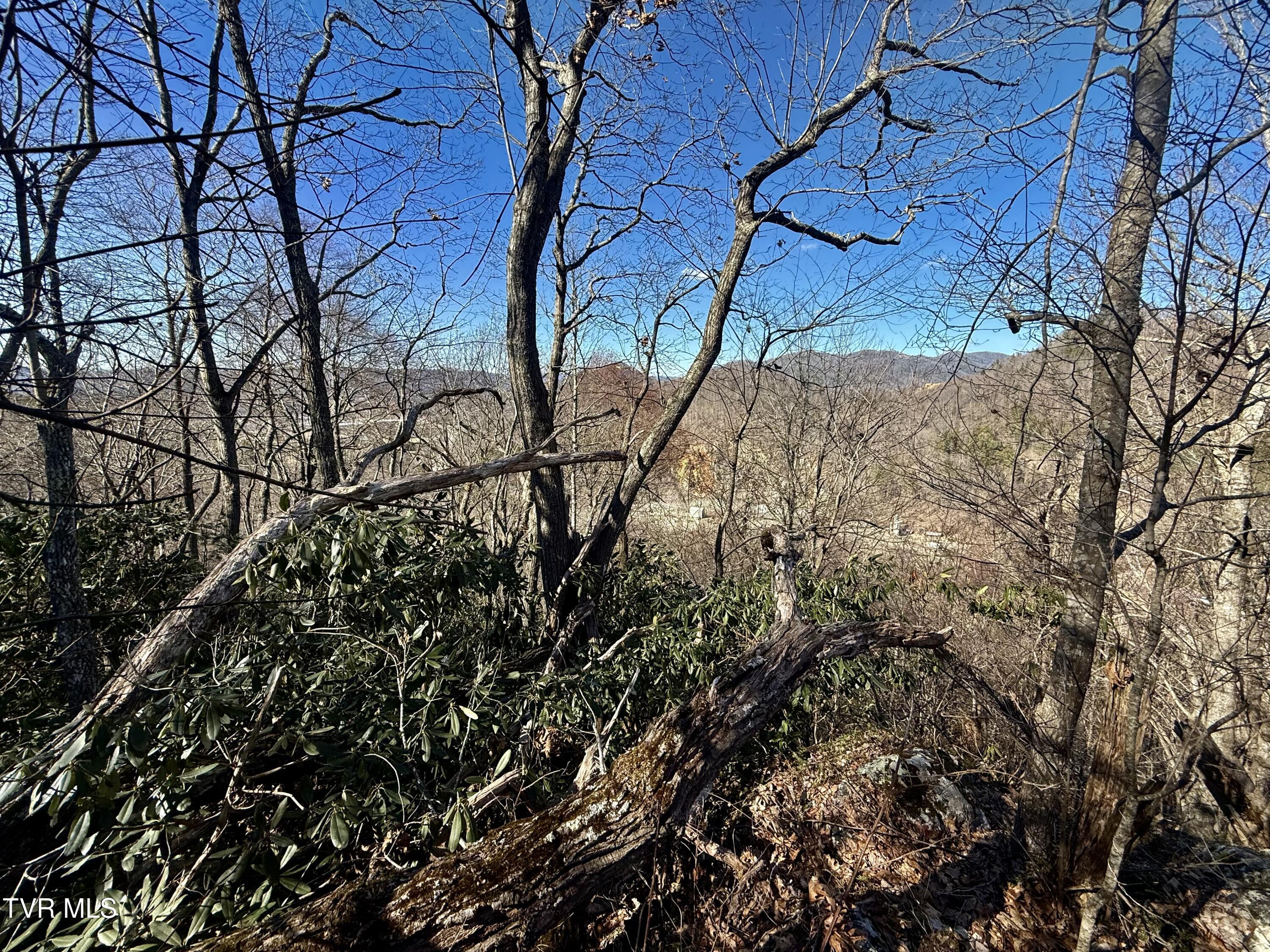 539/Ac Tbd Off Hwy 421, Mountain City, Tennessee image 19