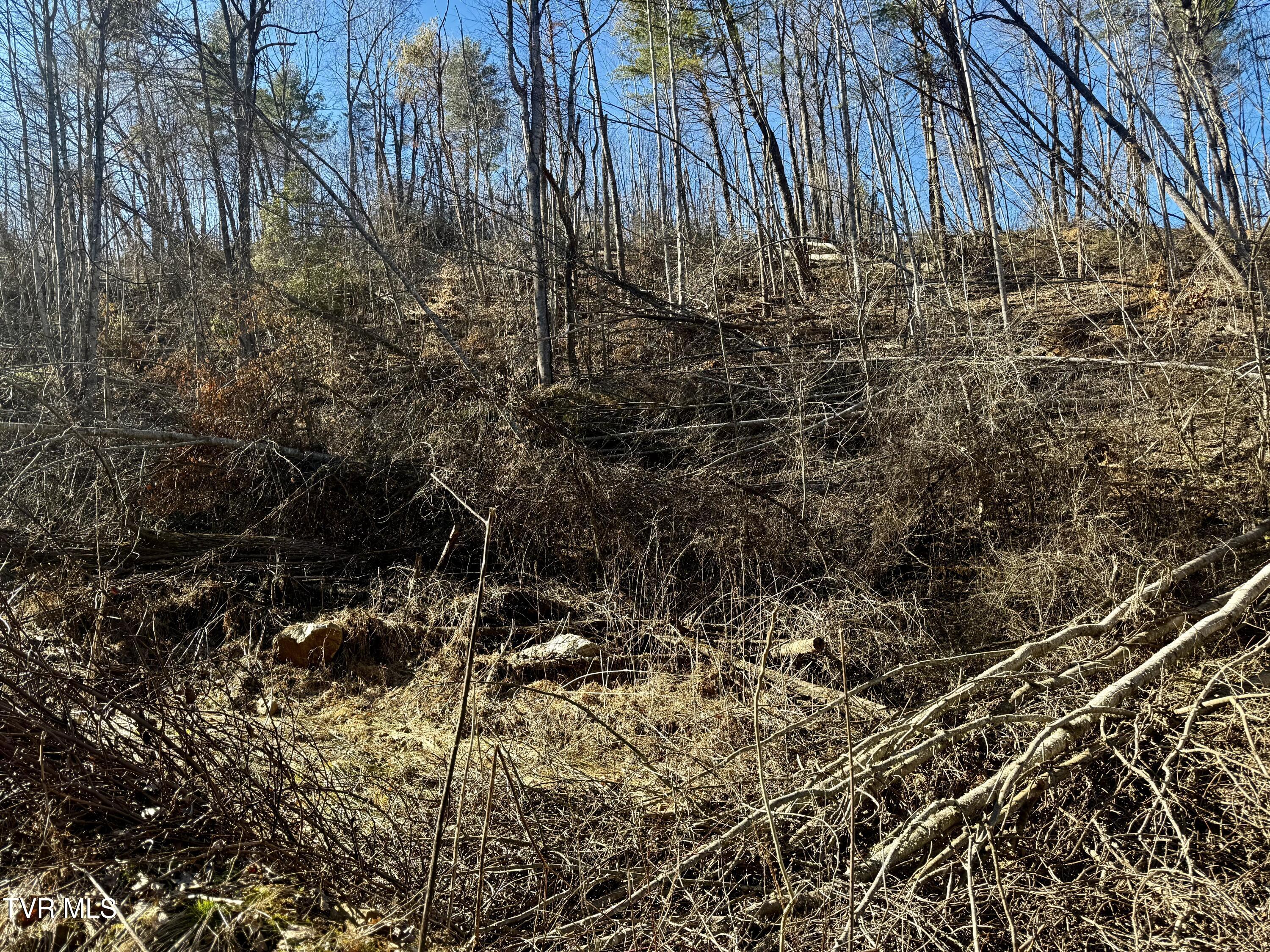 539/Ac Tbd Off Hwy 421, Mountain City, Tennessee image 22