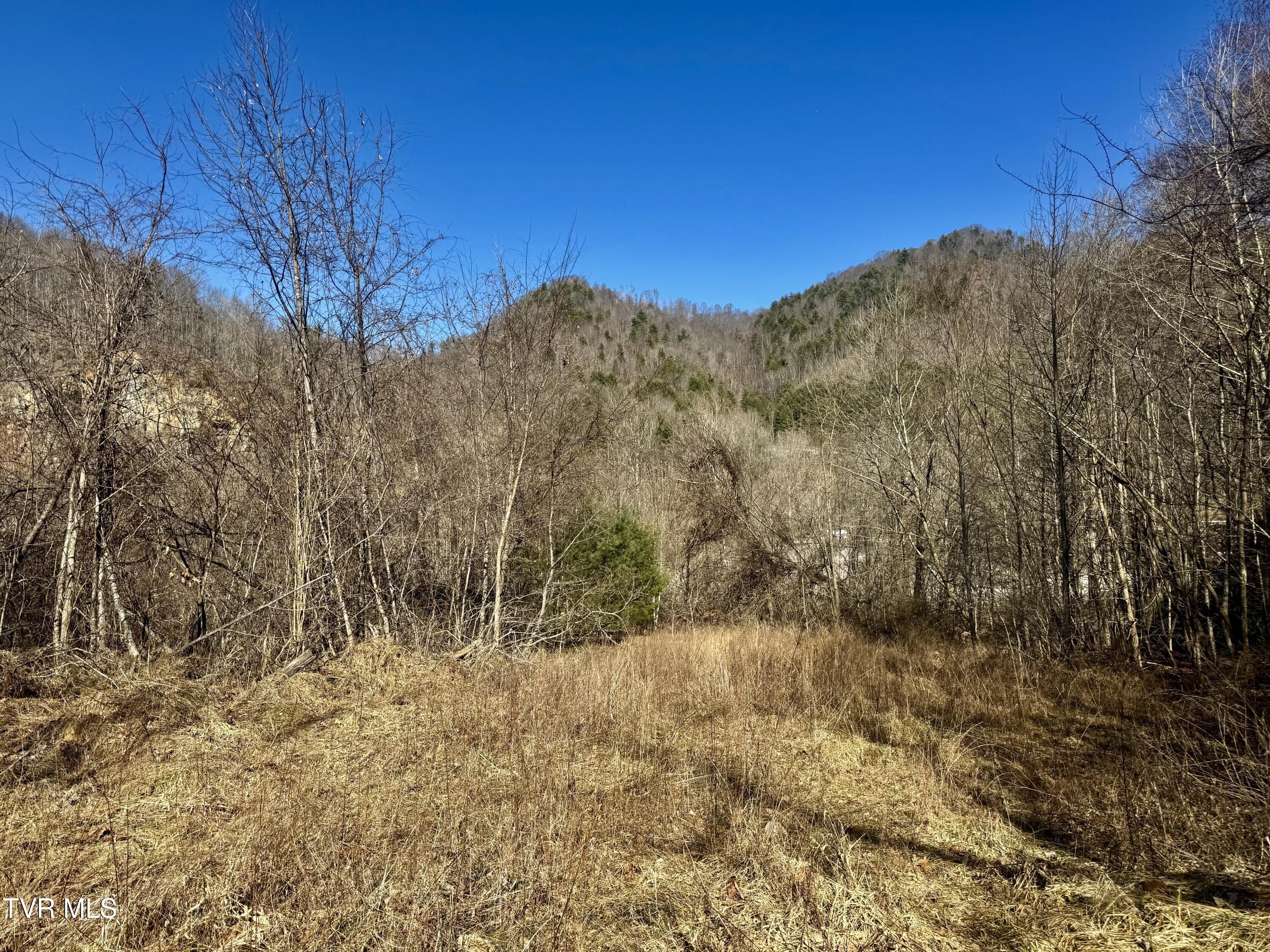 539/Ac Tbd Off Hwy 421, Mountain City, Tennessee image 11