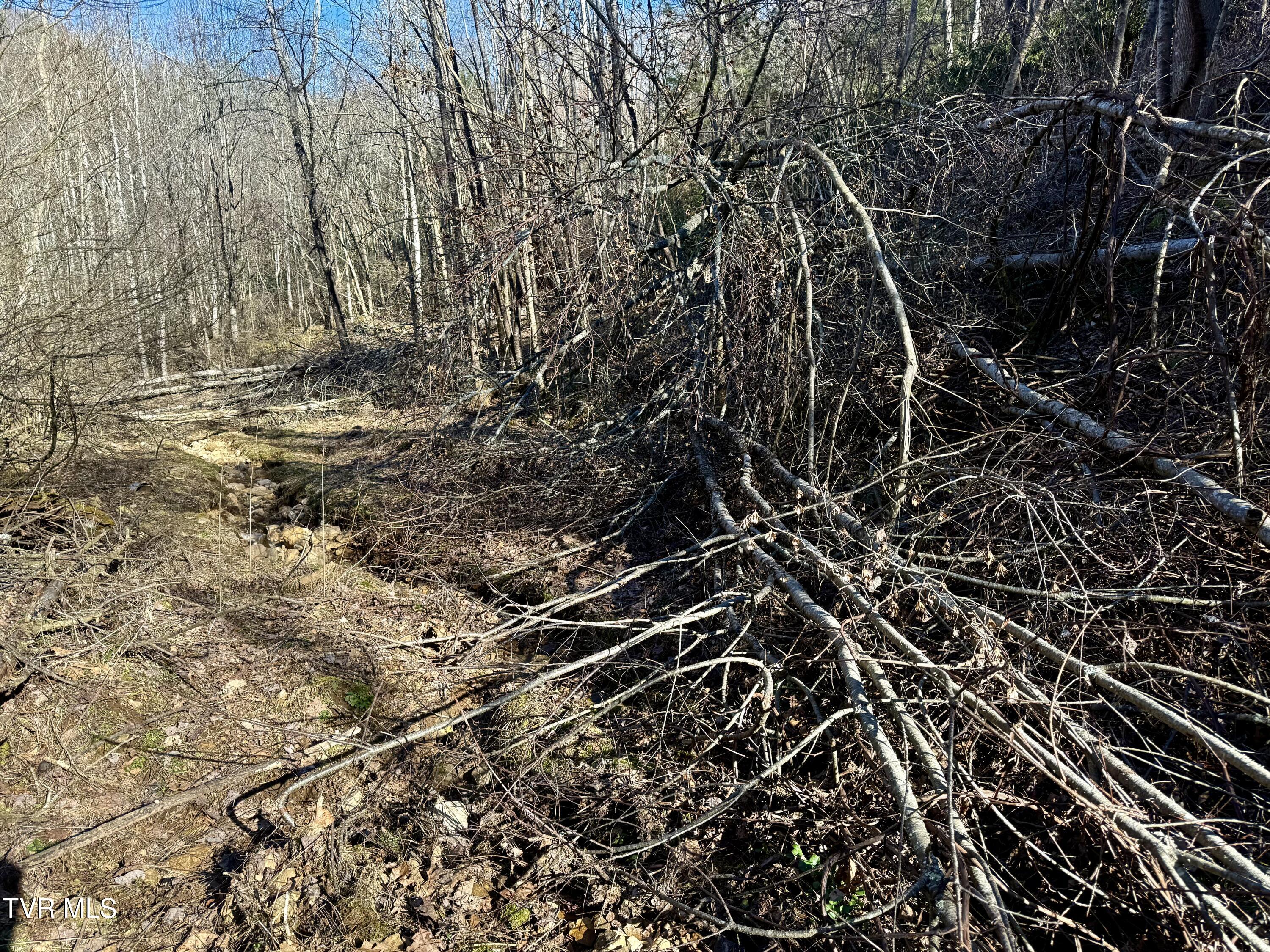 539/Ac Tbd Off Hwy 421, Mountain City, Tennessee image 23