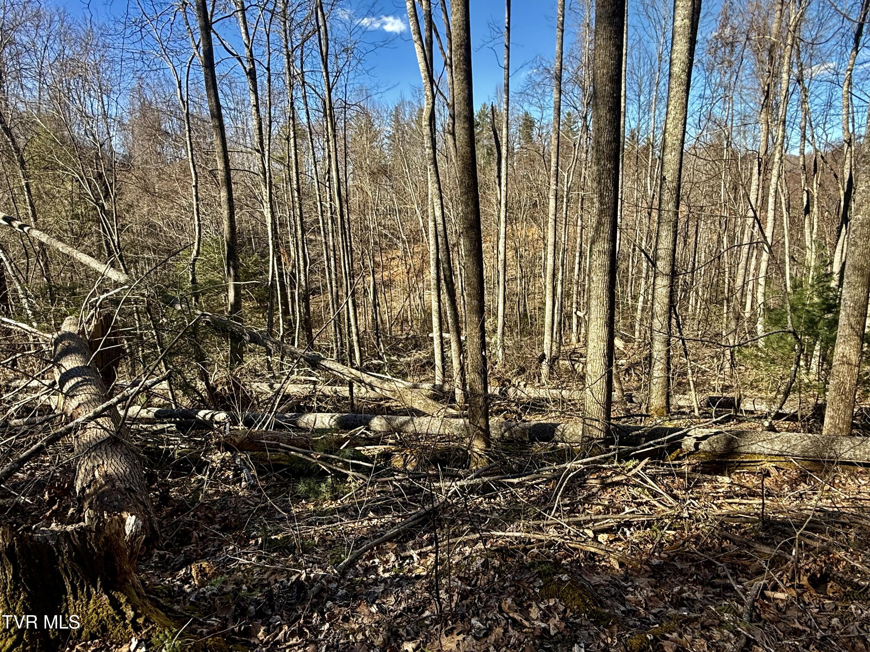 539/Ac Tbd Off Hwy 421, Mountain City, Tennessee image 17