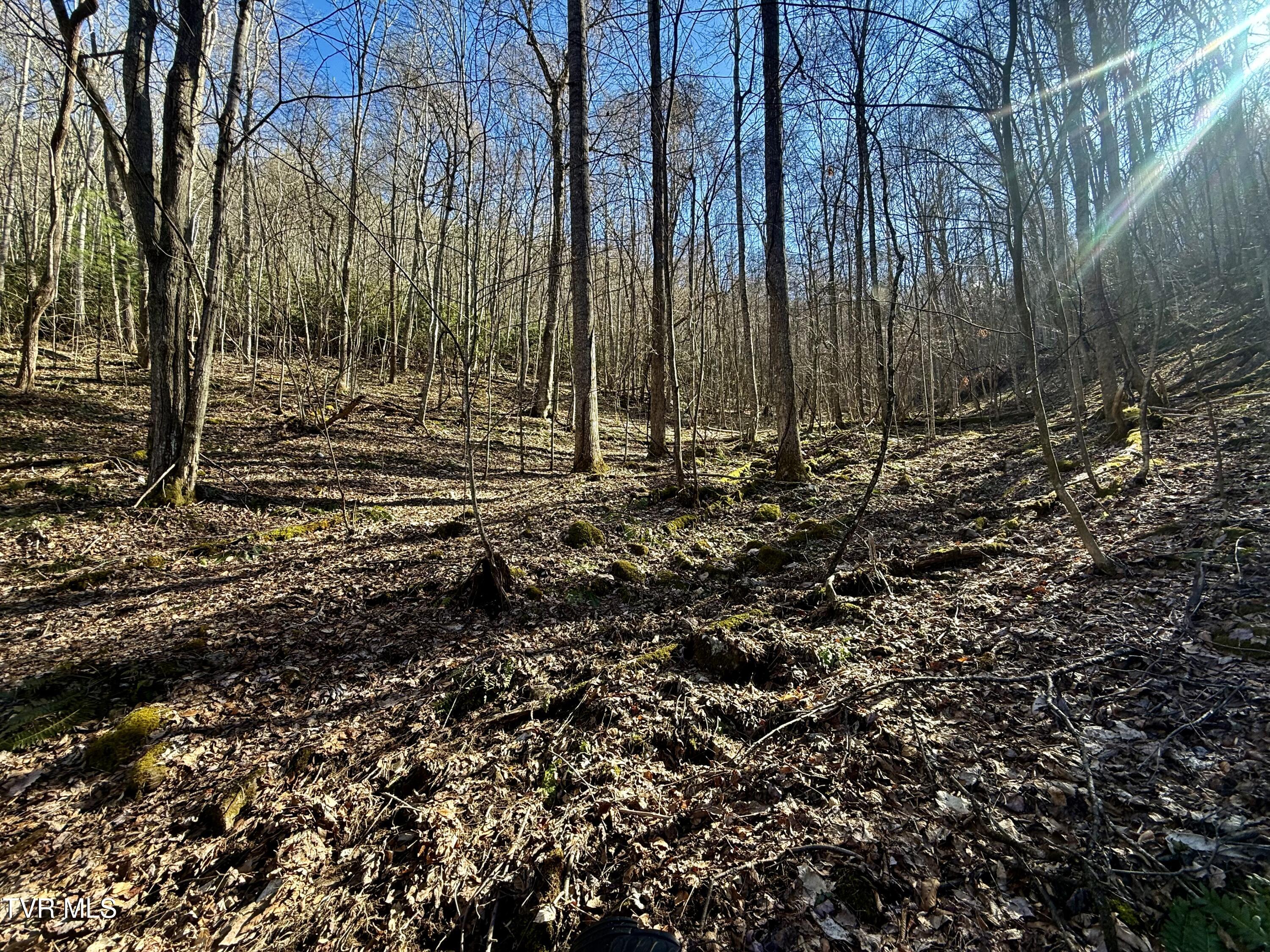 539/Ac Tbd Off Hwy 421, Mountain City, Tennessee image 10