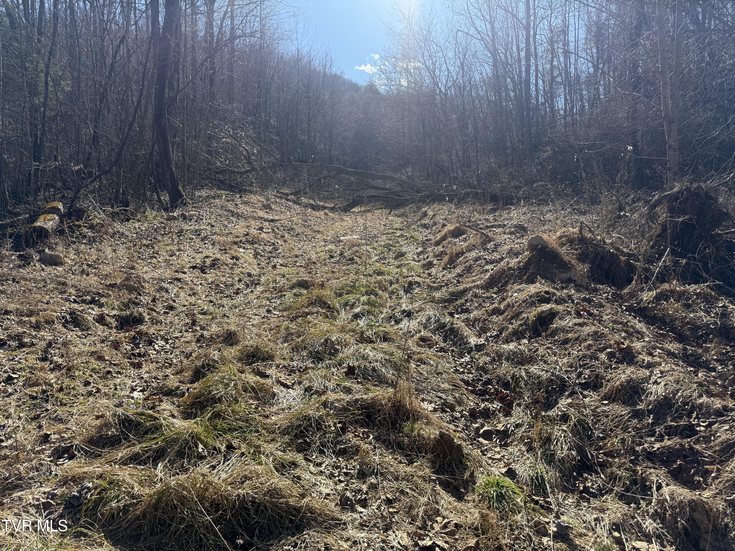 539/Ac Tbd Off Hwy 421, Mountain City, Tennessee image 9