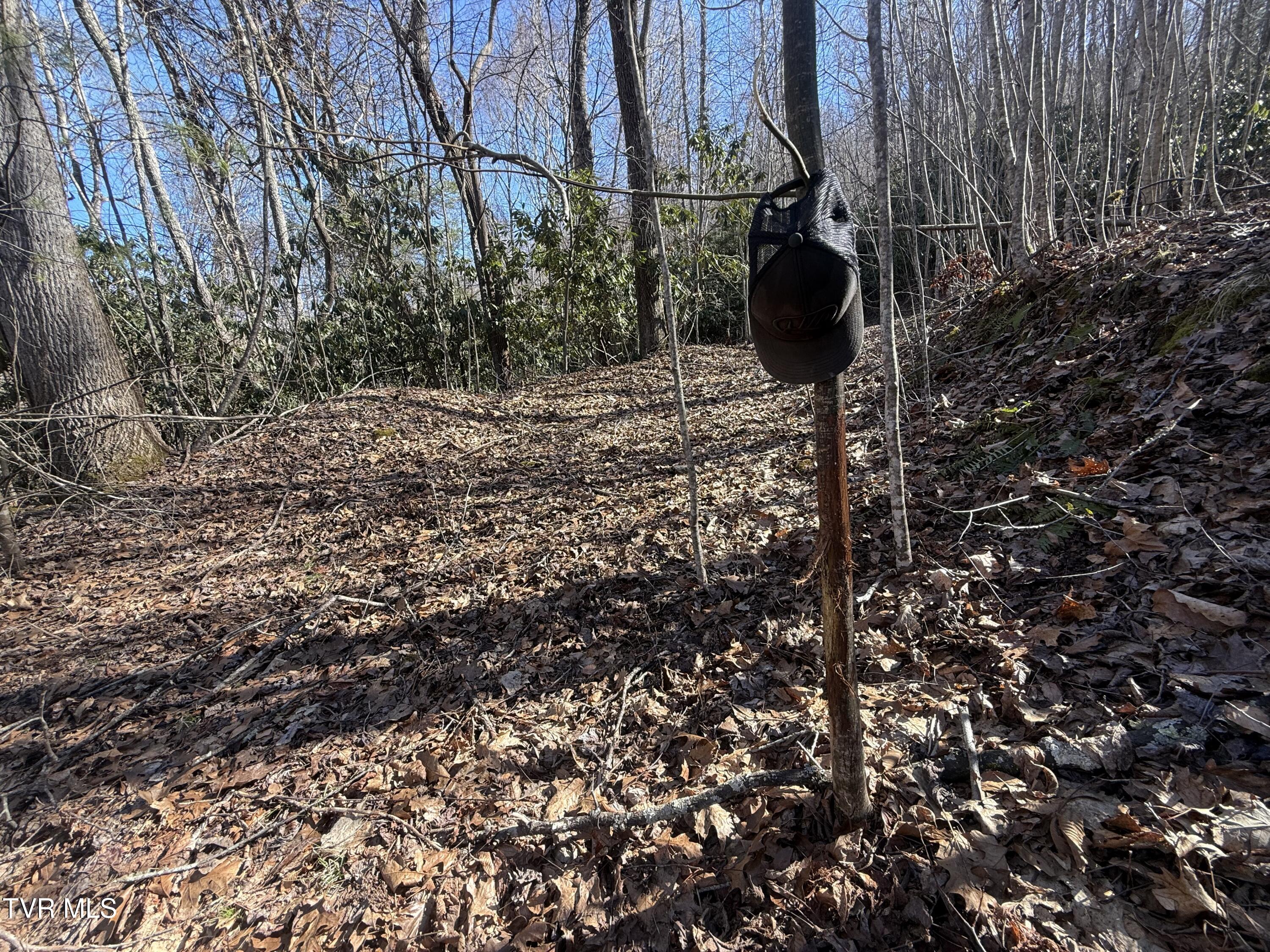 539/Ac Tbd Off Hwy 421, Mountain City, Tennessee image 7
