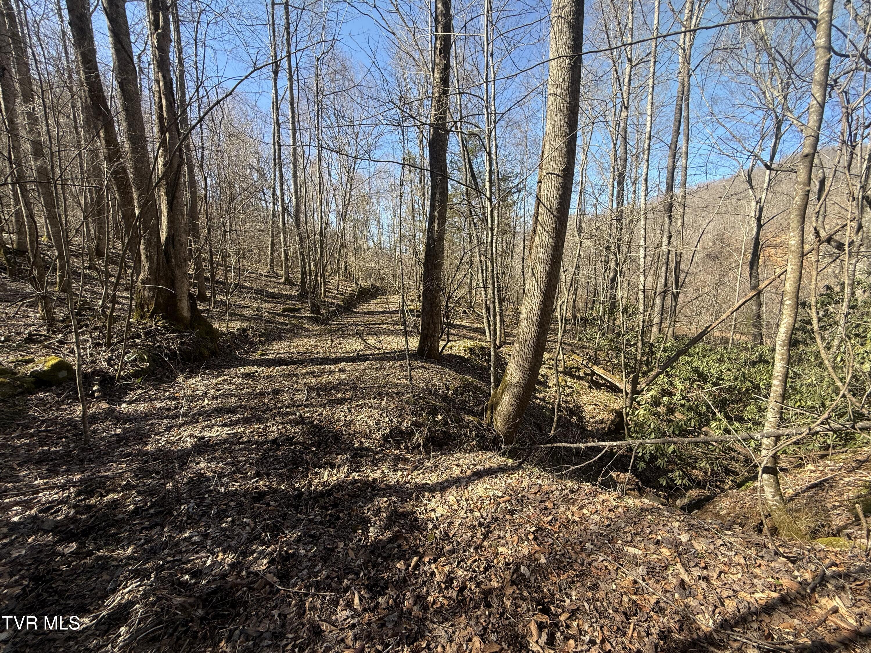 539/Ac Tbd Off Hwy 421, Mountain City, Tennessee image 8
