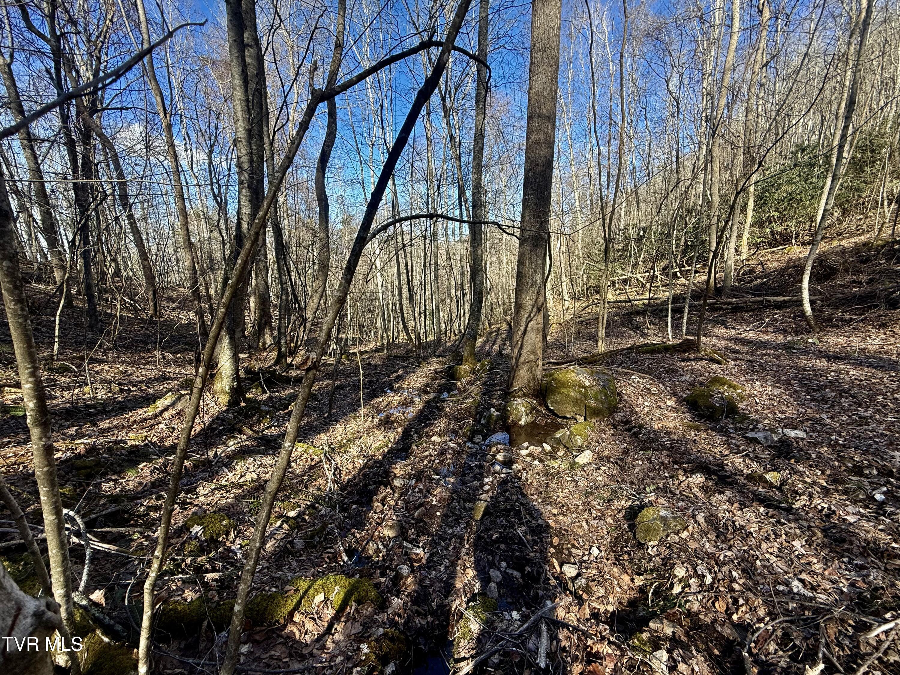 539/Ac Tbd Off Hwy 421, Mountain City, Tennessee image 16