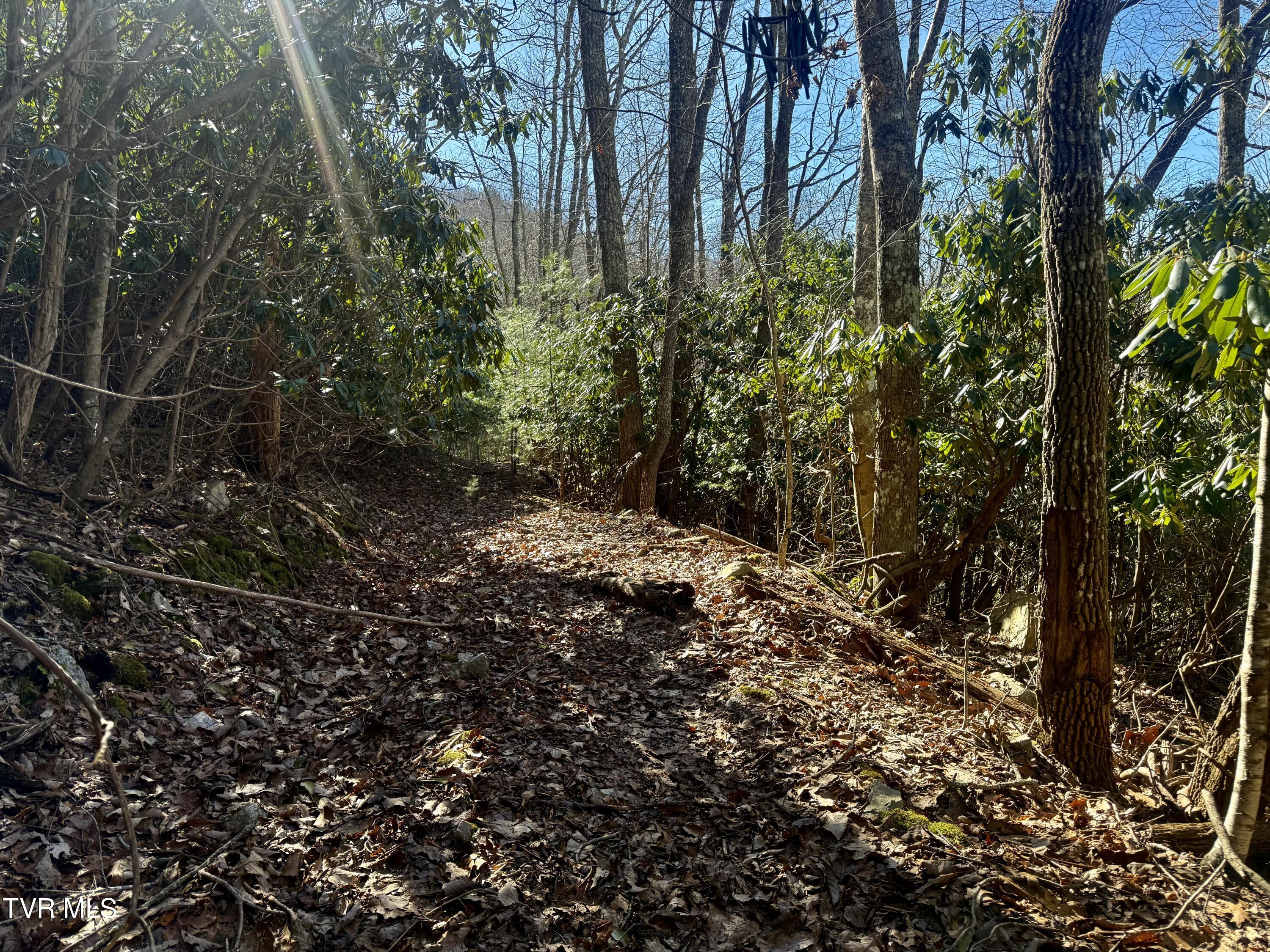 539/Ac Tbd Off Hwy 421, Mountain City, Tennessee image 13