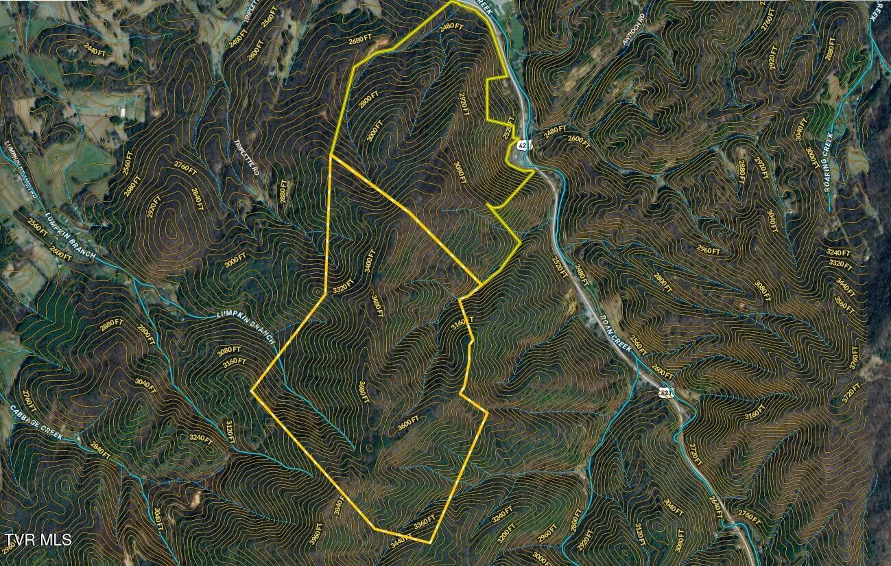 539/Ac Tbd Off Hwy 421, Mountain City, Tennessee image 30