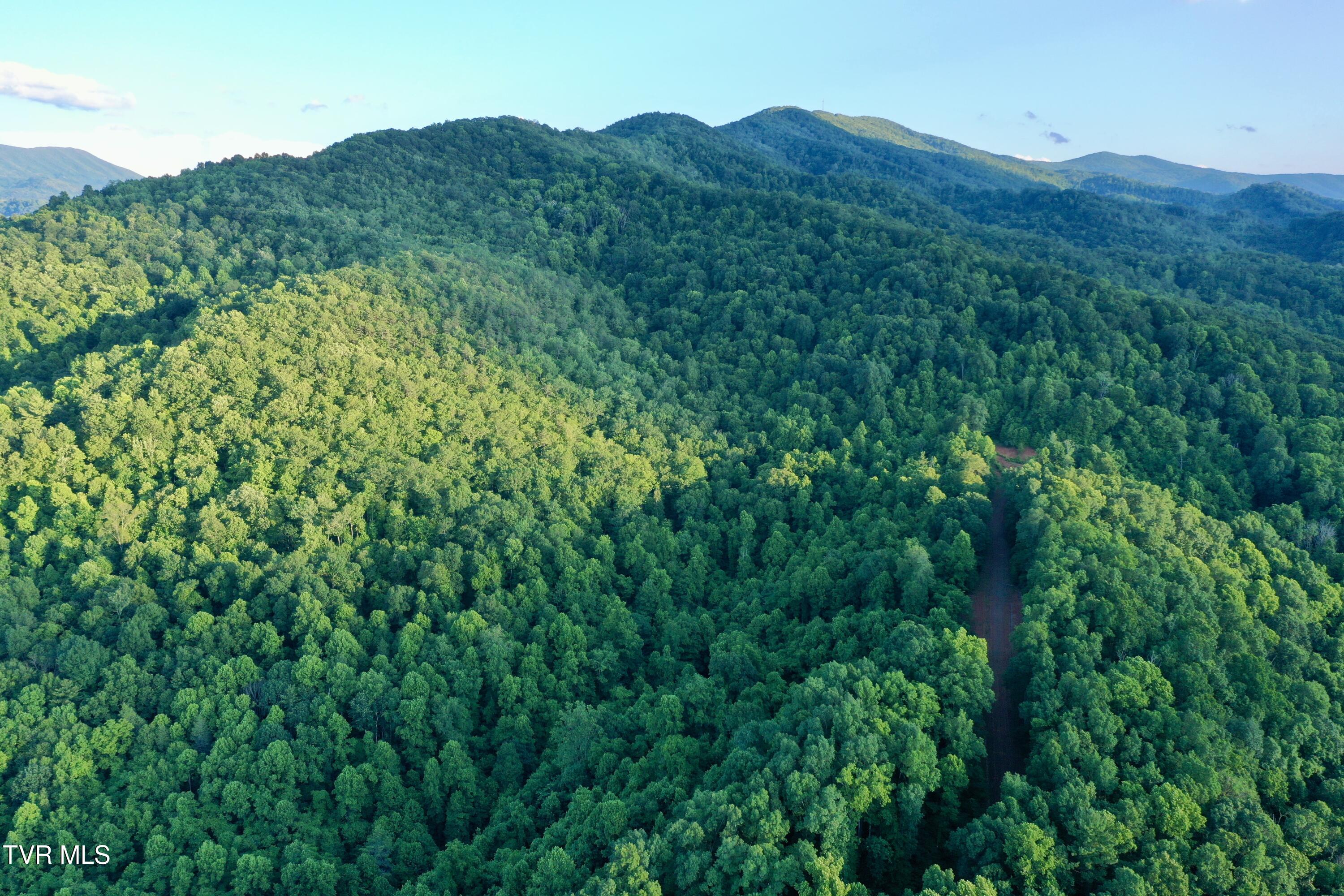 539/Ac Tbd Off Hwy 421, Mountain City, Tennessee image 27