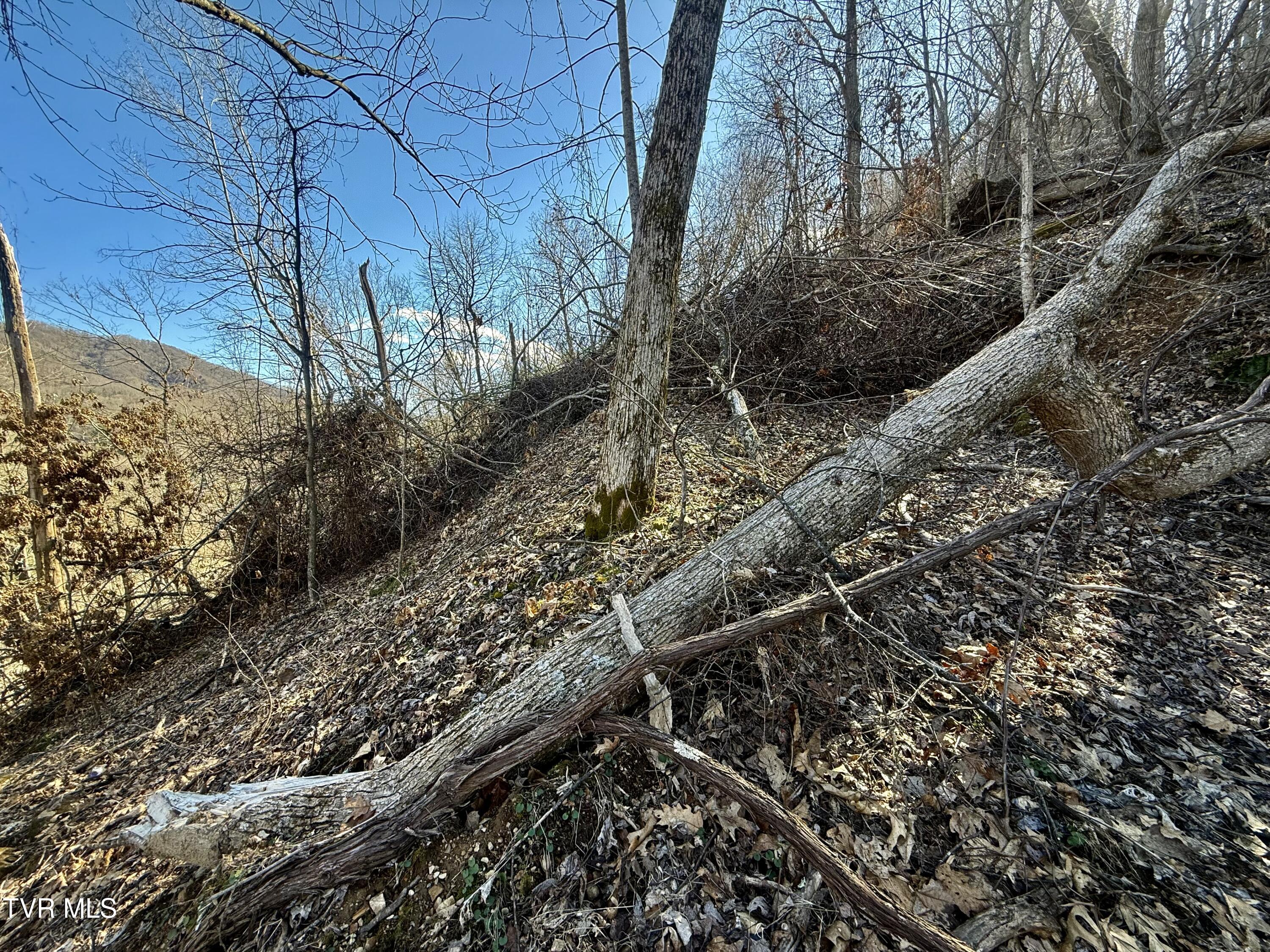 539/Ac Tbd Off Hwy 421, Mountain City, Tennessee image 20