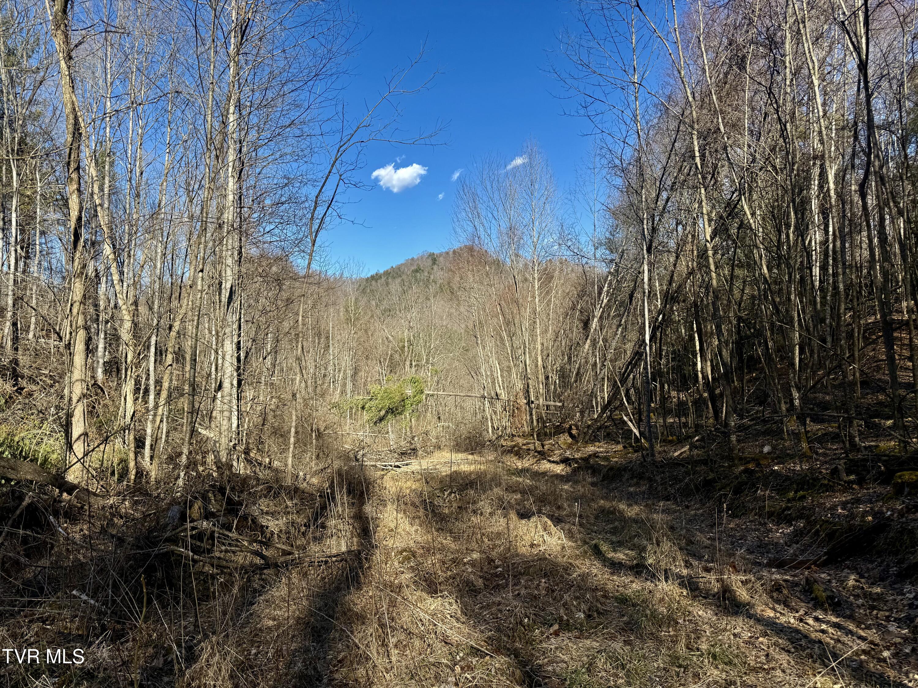 539/Ac Tbd Off Hwy 421, Mountain City, Tennessee image 3