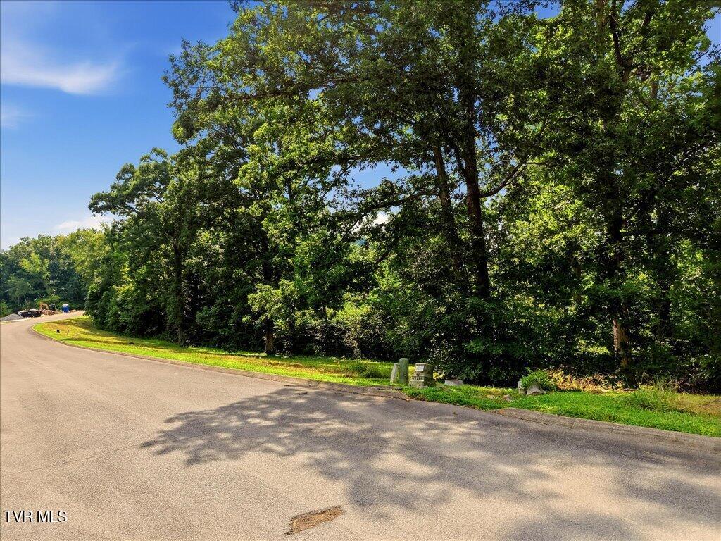 Photo of 6291 Outlook Trail, Russellville, TN 37860 (MLS # 9999030)
