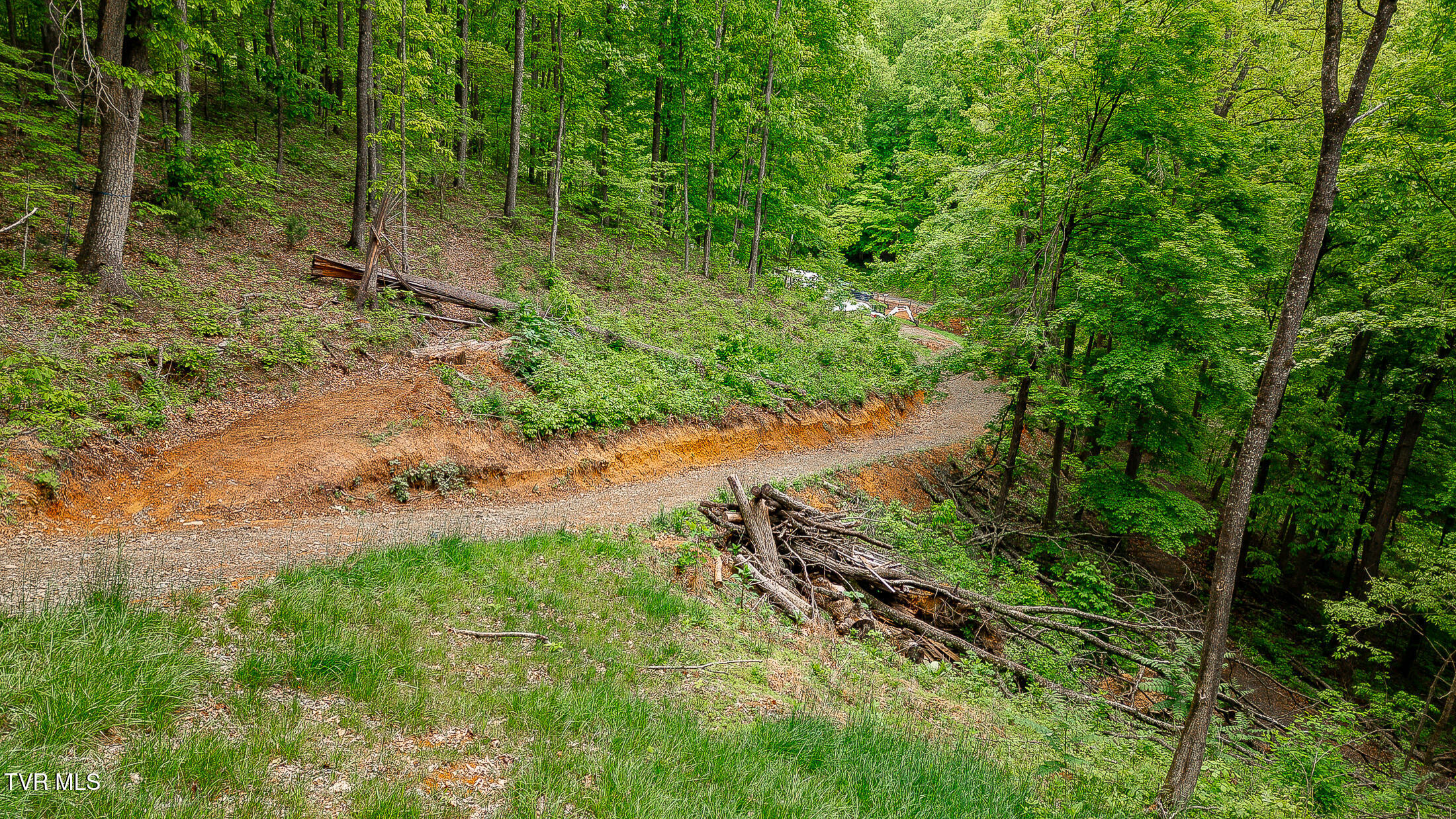 394 Bishop Hollow Road, Elizabethton, Tennessee image 13