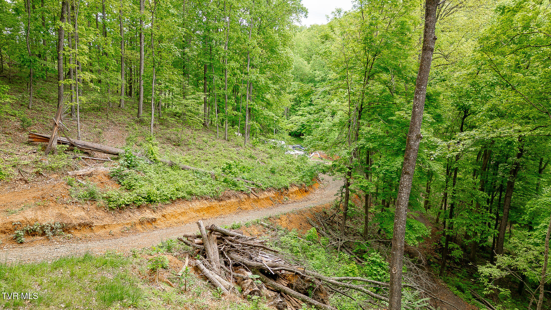 394 Bishop Hollow Road, Elizabethton, Tennessee image 16