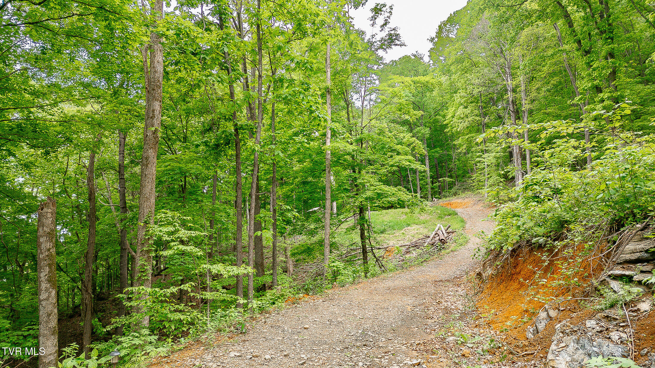 394 Bishop Hollow Road, Elizabethton, Tennessee image 24