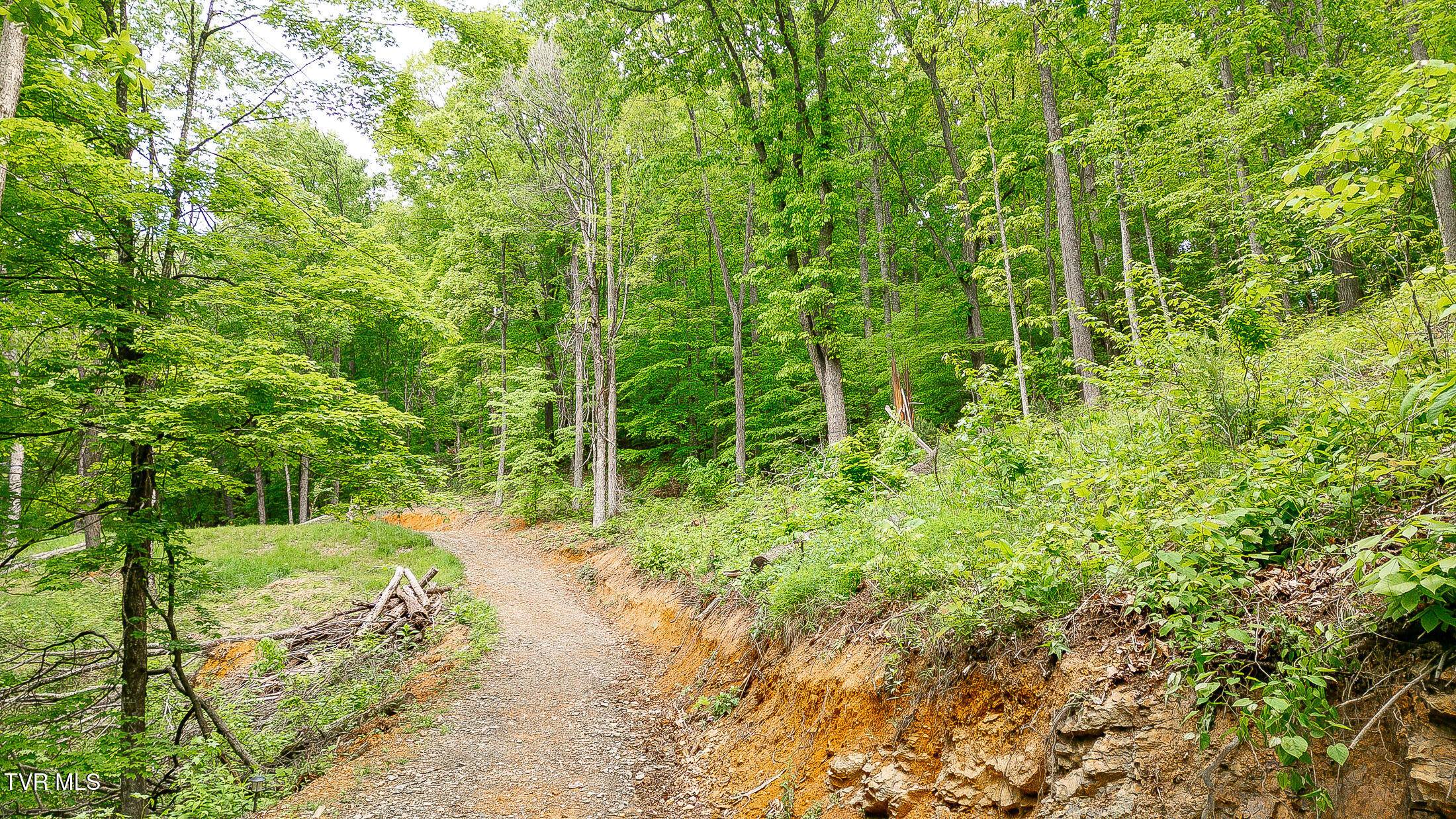 394 Bishop Hollow Road, Elizabethton, Tennessee image 23