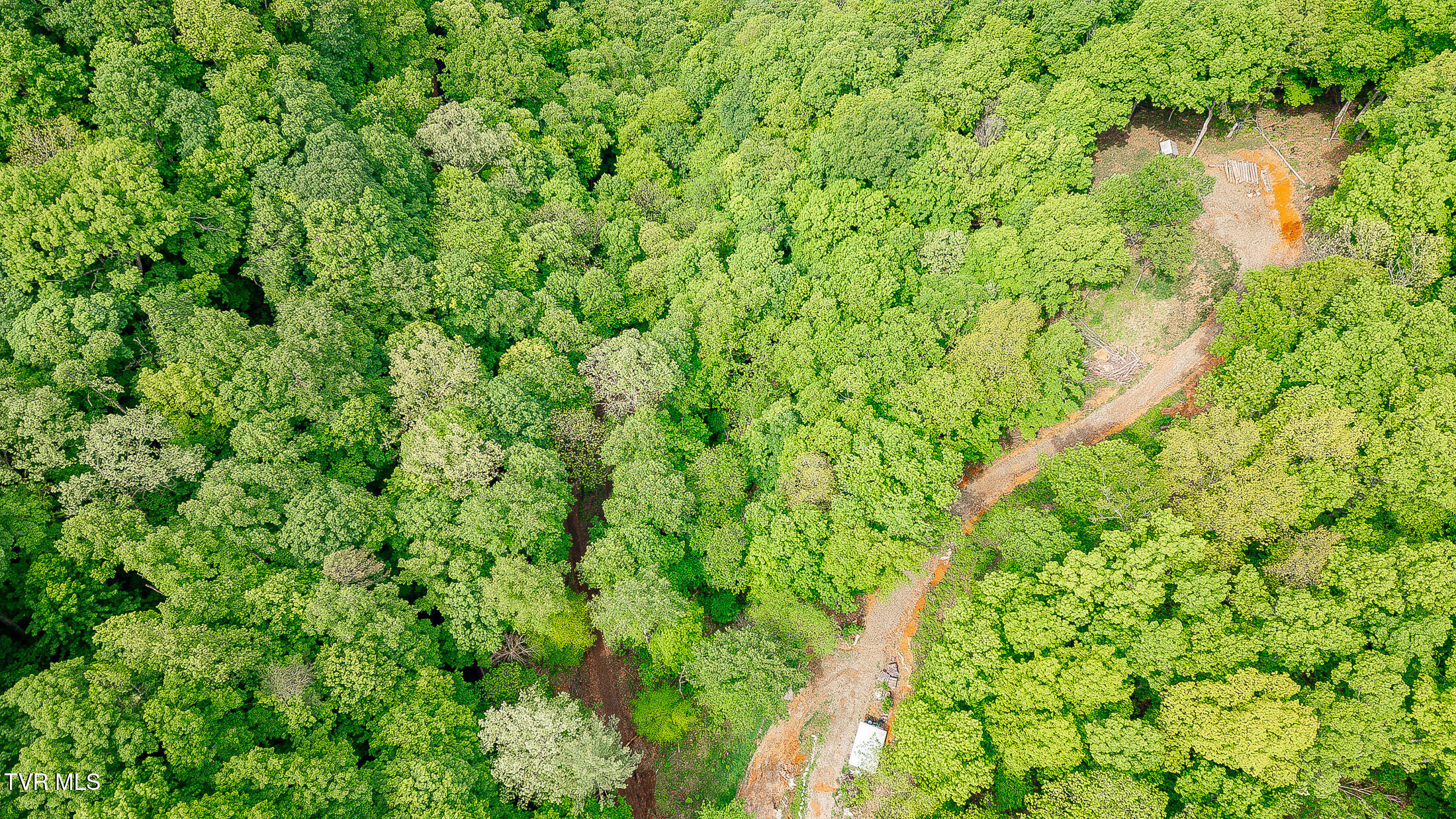 394 Bishop Hollow Road, Elizabethton, Tennessee image 18