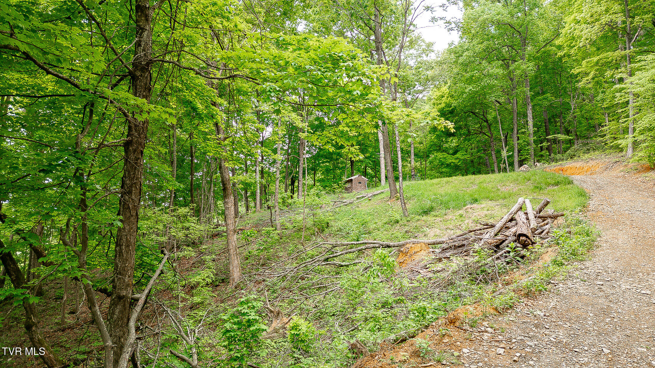 394 Bishop Hollow Road, Elizabethton, Tennessee image 19