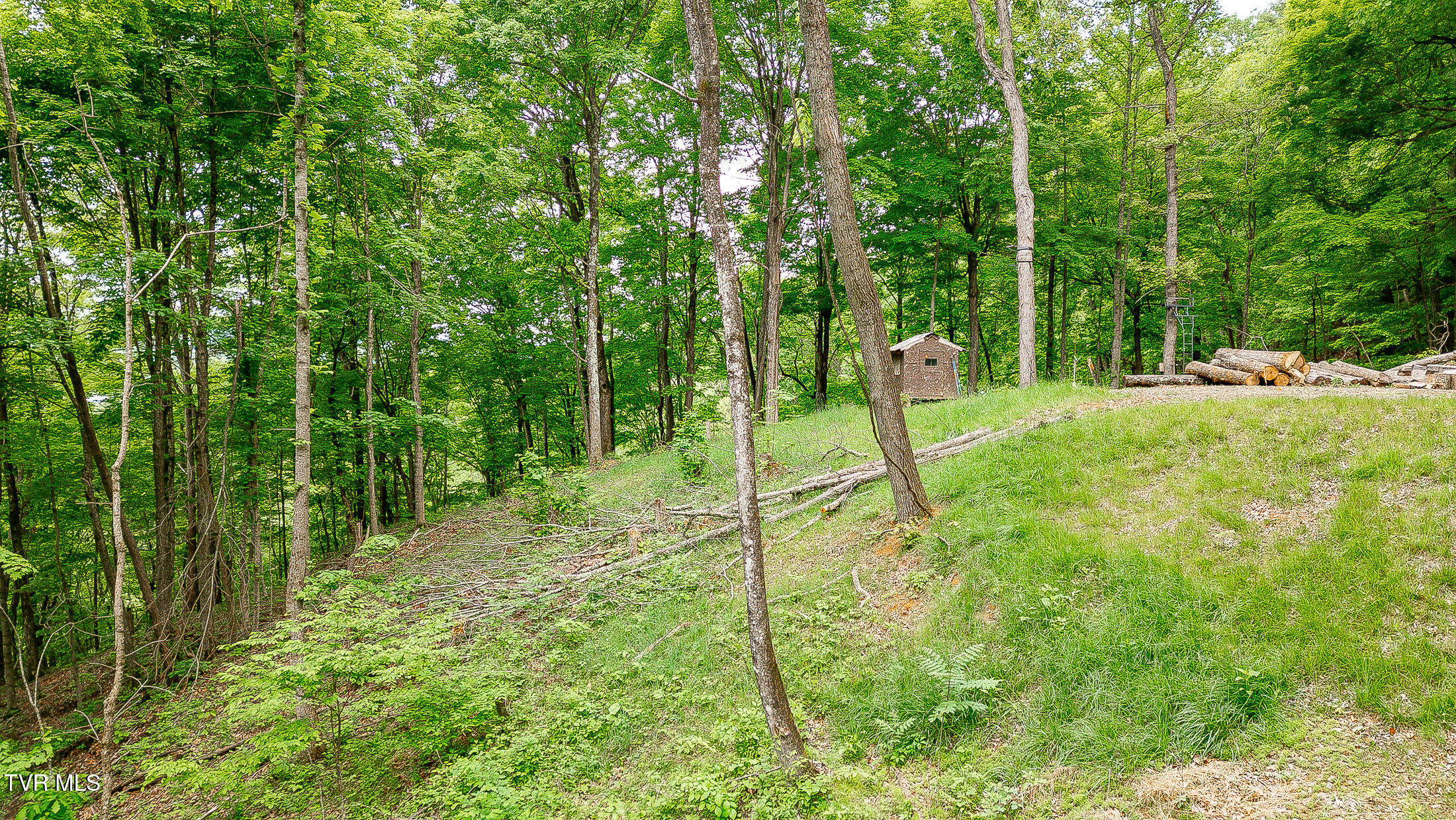 394 Bishop Hollow Road, Elizabethton, Tennessee image 22