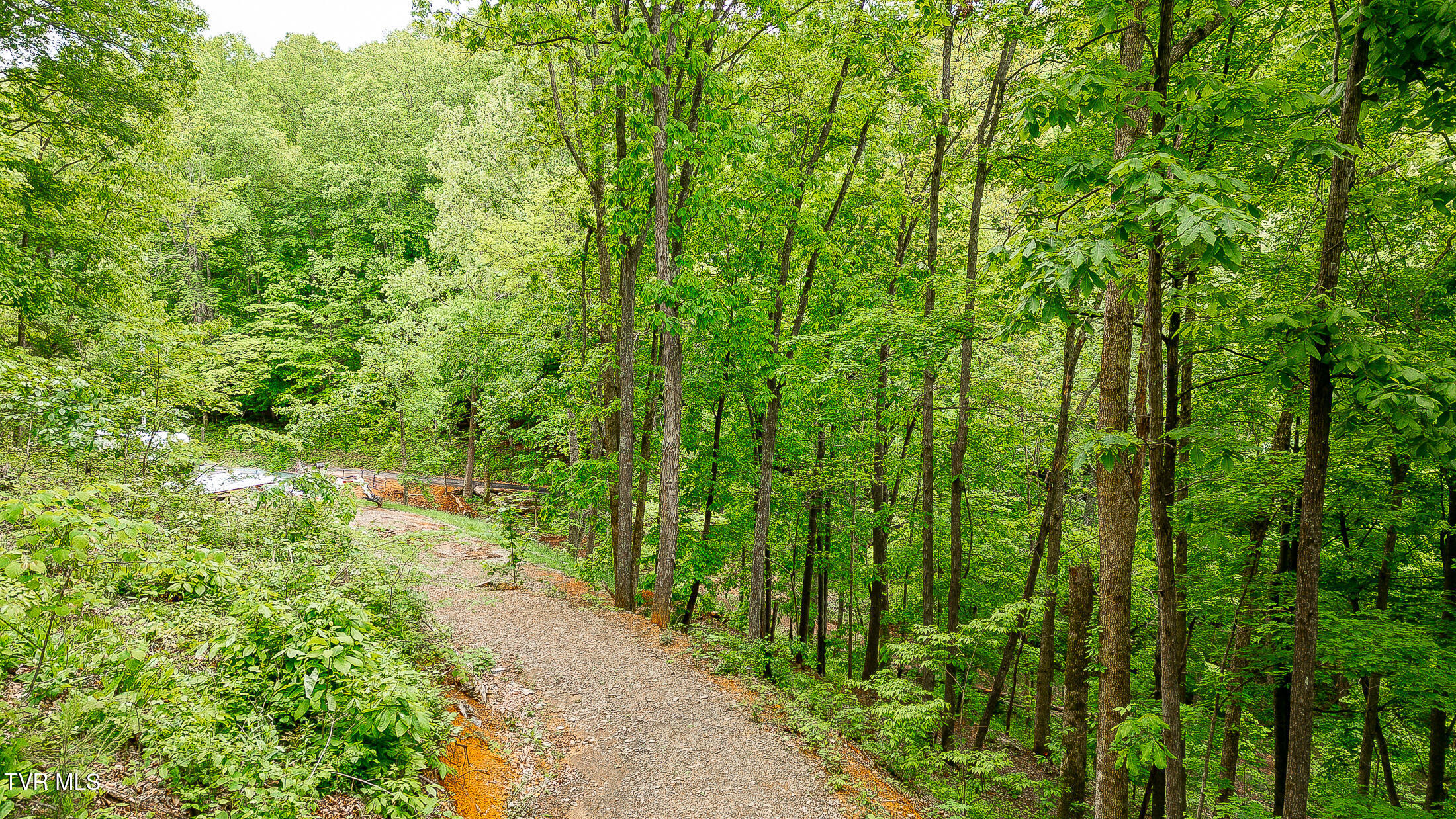 394 Bishop Hollow Road, Elizabethton, Tennessee image 11