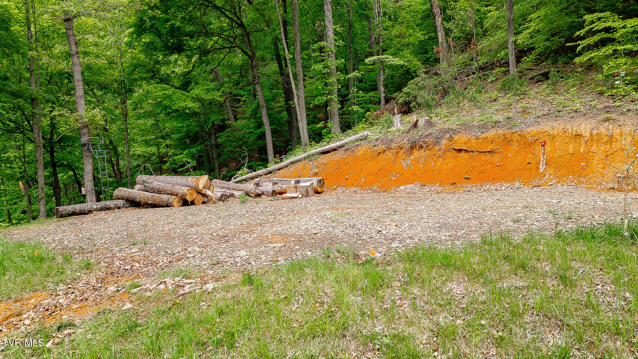 394 Bishop Hollow Road, Elizabethton, Tennessee image 20