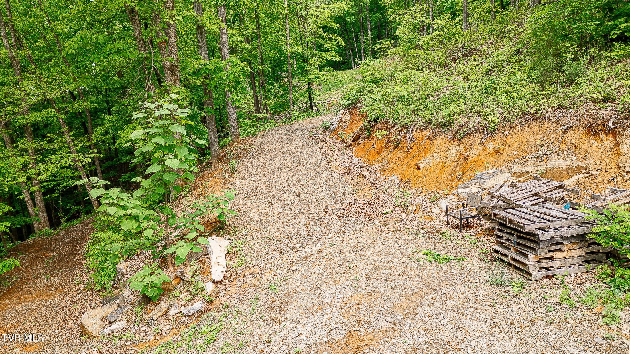 394 Bishop Hollow Road, Elizabethton, Tennessee image 25