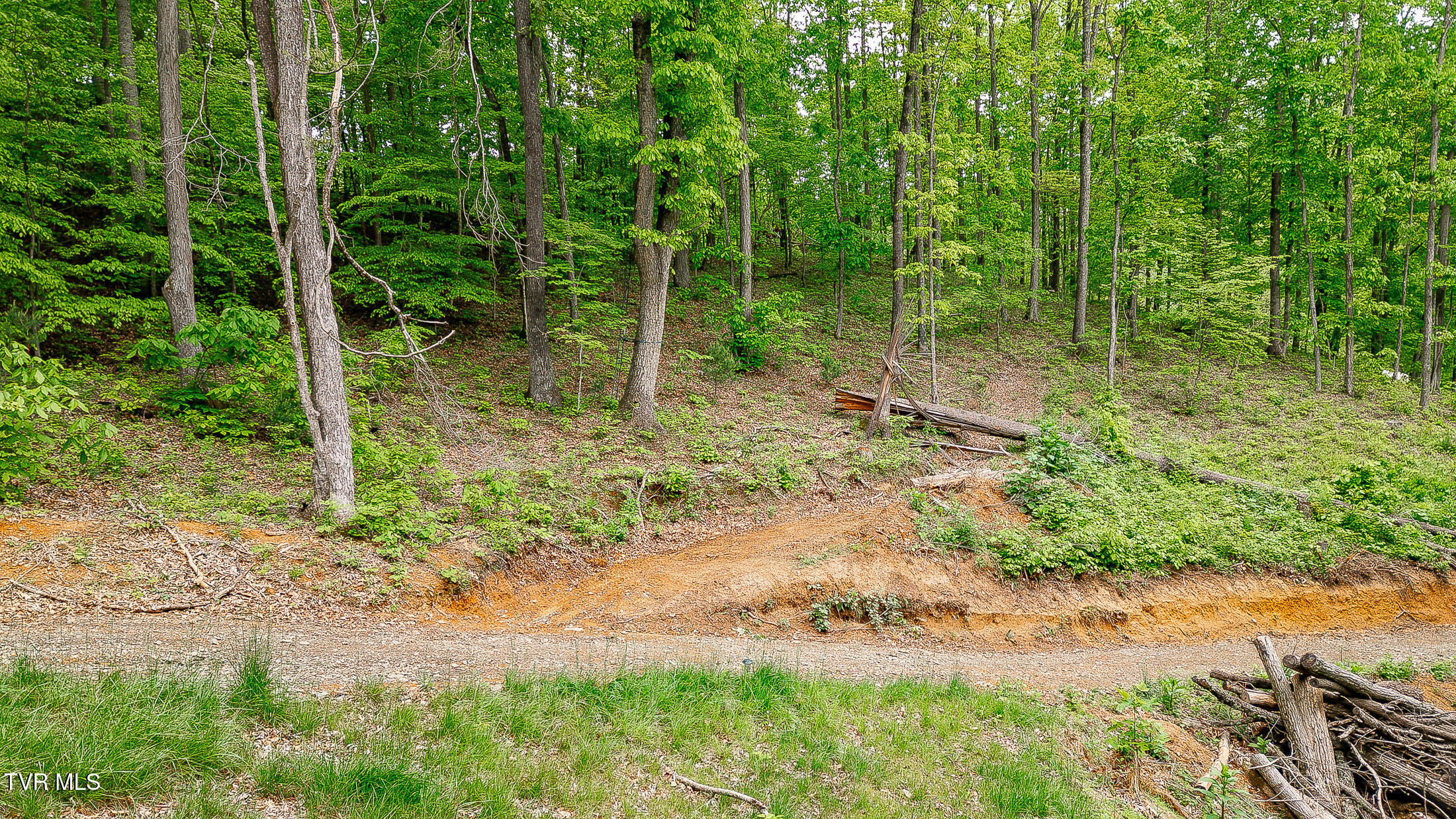 394 Bishop Hollow Road, Elizabethton, Tennessee image 17